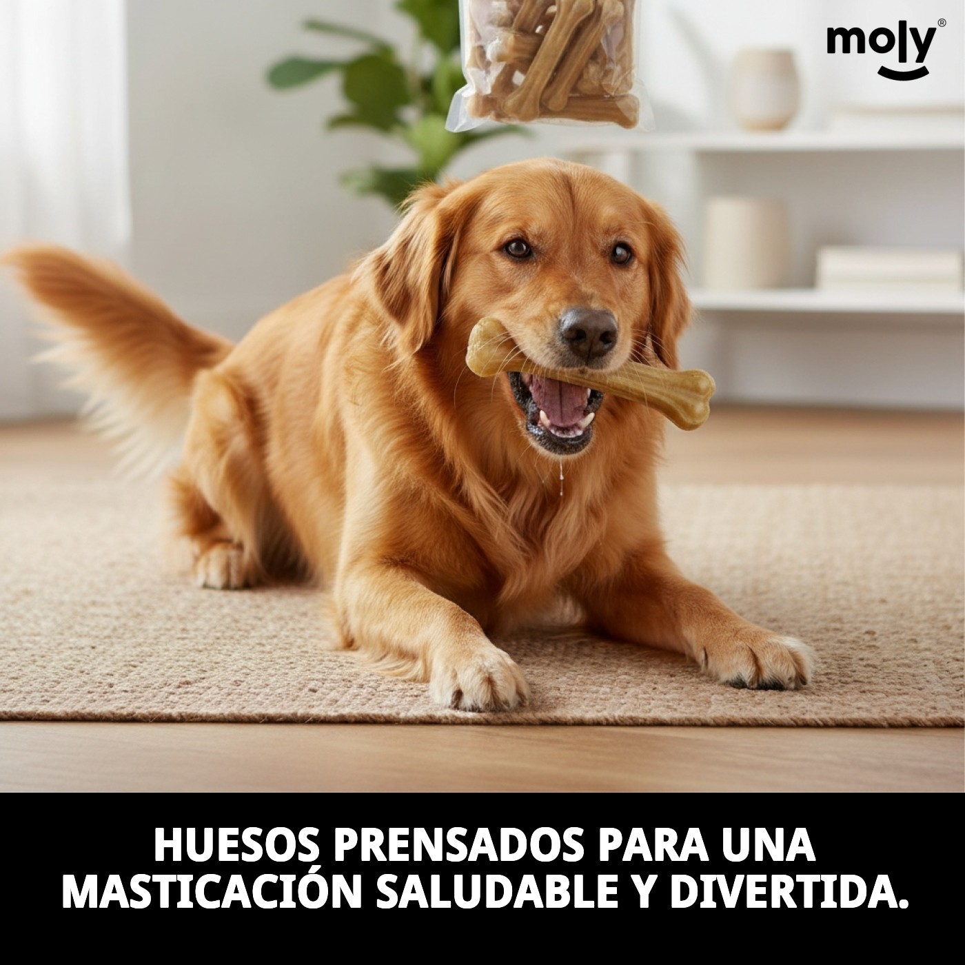 Huesos Prensados 16 cm en Bolsa de 22 Unidades | Snack Natural para Perros – Moly