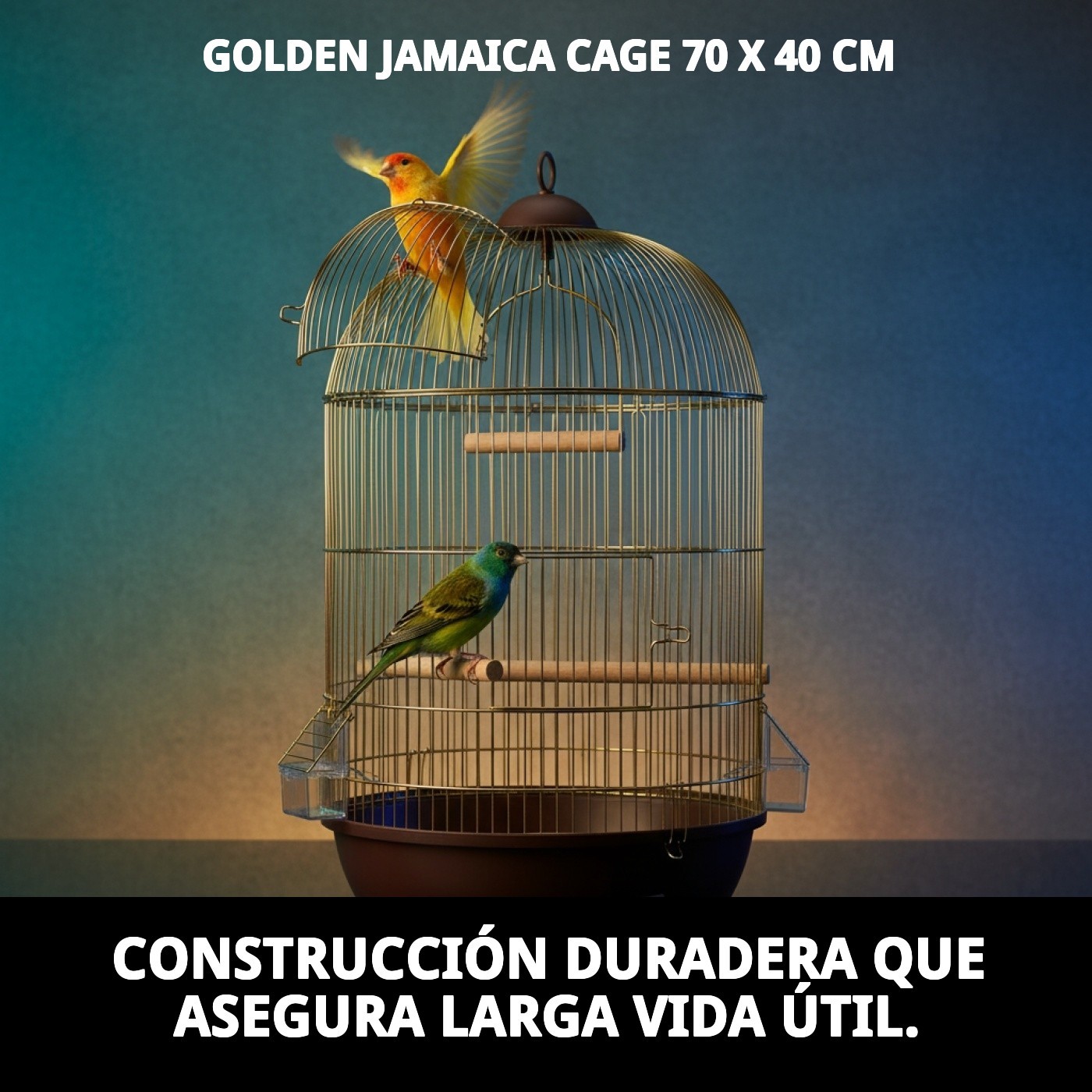 JAULA JAMAICA DORADA 70 X 40 CM.