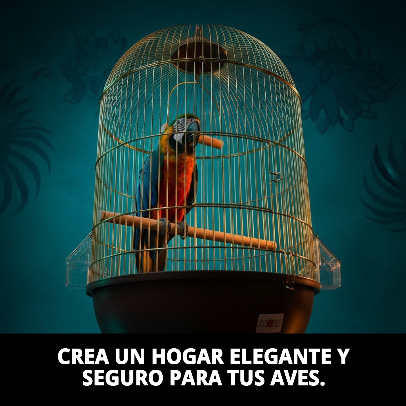 JAULA JAMAICA DORADA 70 X 40 CM.