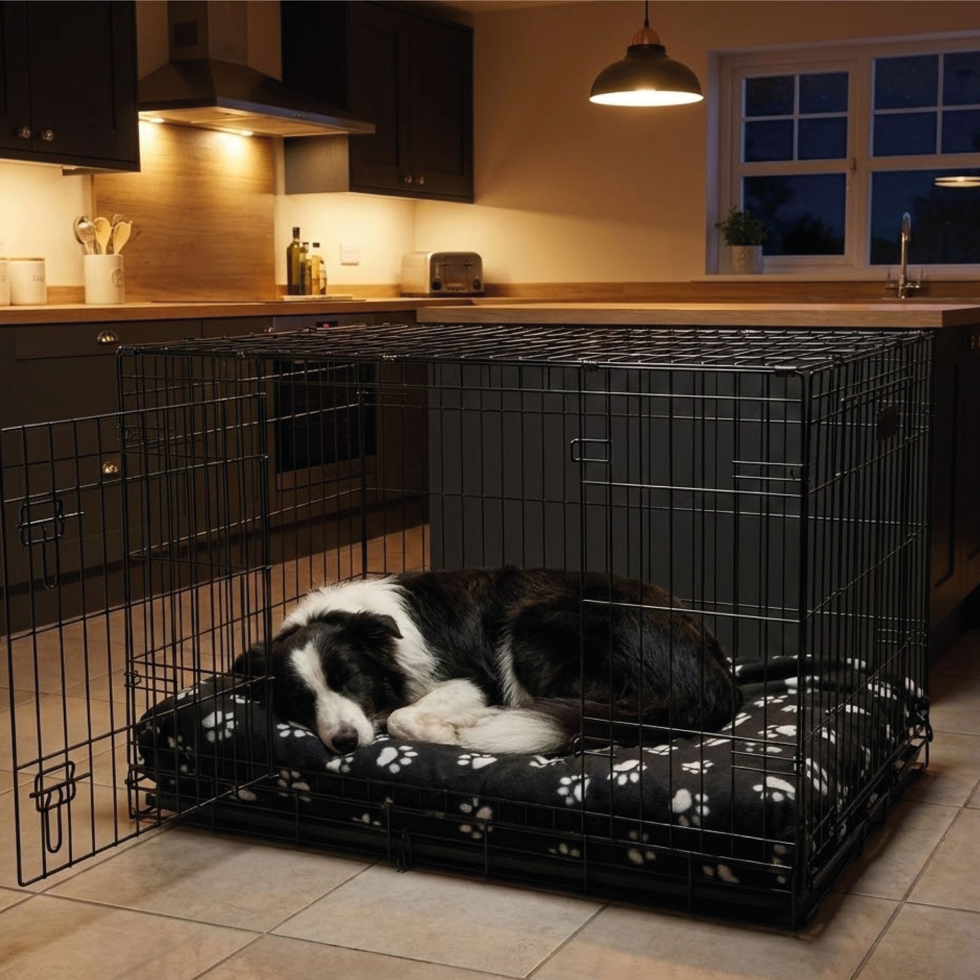 Jaula Metálica Mediana para Perros 78×48×55 cm Moly | Resistente, Segura y Plegable