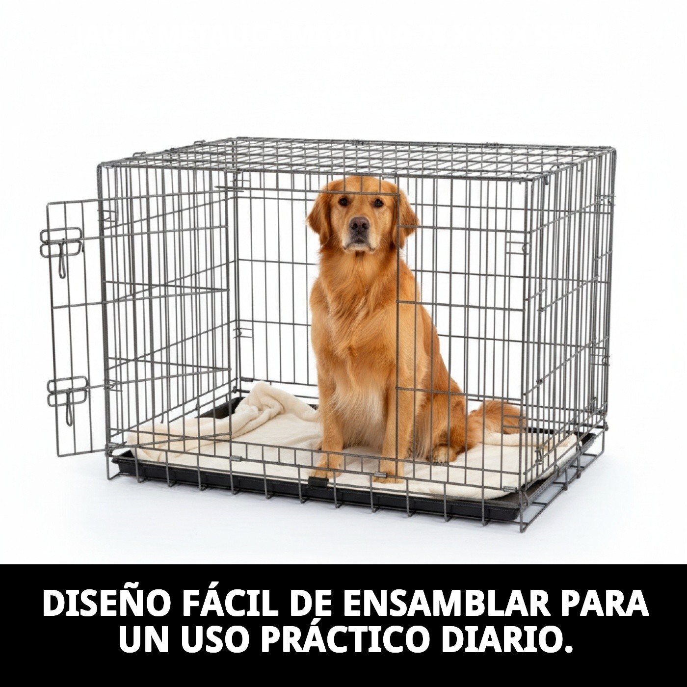 Jaula Metálica Mediana para Perros 78×48×55 cm Moly | Resistente, Segura y Plegable