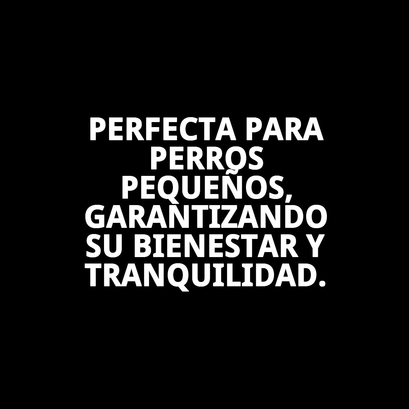 Jaula Metálica Pequeña para Perros 61×44×50 cm Moly | Segura, Resistente y Plegable