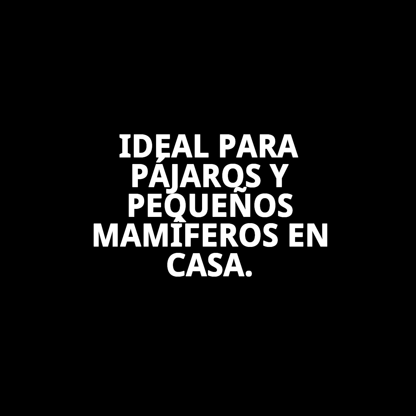 JAULA N.3 30X23X39 cm