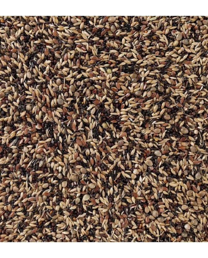 JILGUEROS Y JILGUEROS SUPREMO DELI NATURE 20 KG