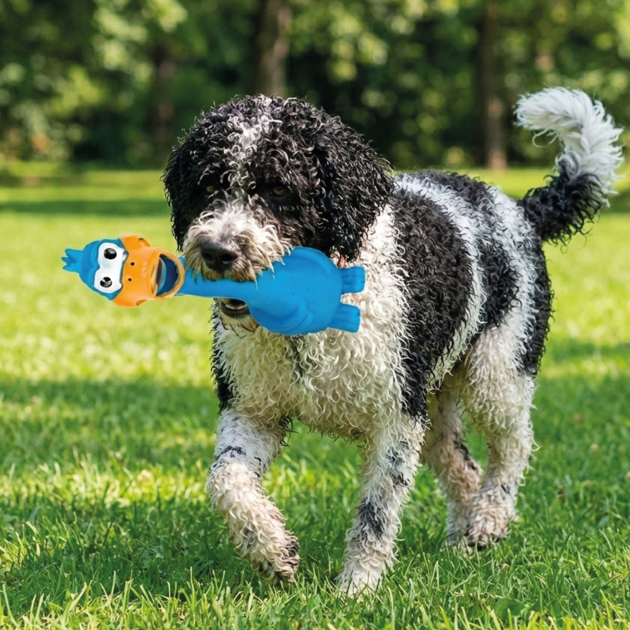 Juguete de Látex Pollo Funny 28 cm Moly | Divertido, Resistente y con Sonido para Perros