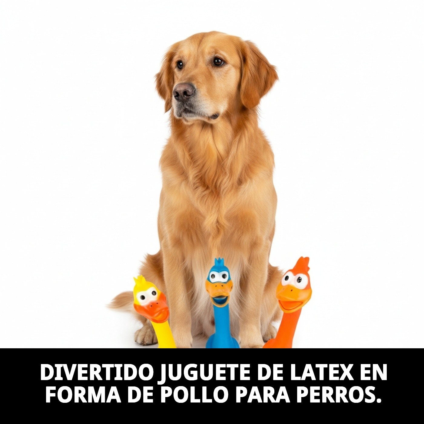 Juguete de Látex Pollo Funny 28 cm Moly | Divertido, Resistente y con Sonido para Perros