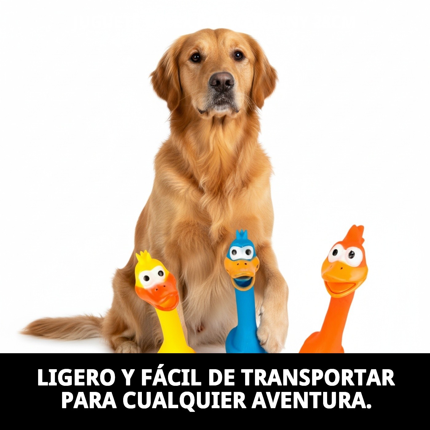 Juguete de Látex Pollo Funny 28 cm Moly | Divertido, Resistente y con Sonido para Perros