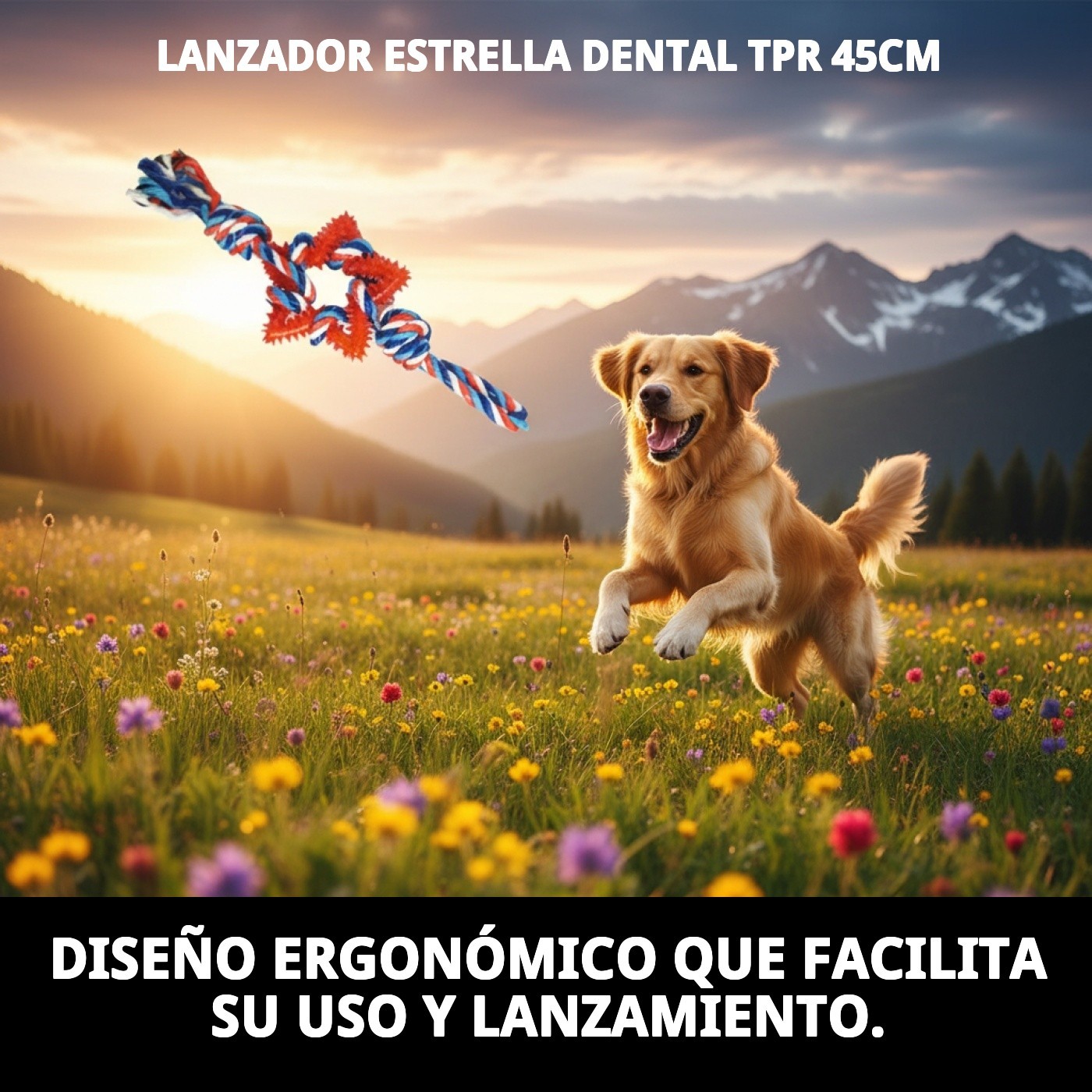 Juguete Lanzador Estrella Dental TPR 45 cm Moly | Juguete Resistente y Limpia Dientes para Perros