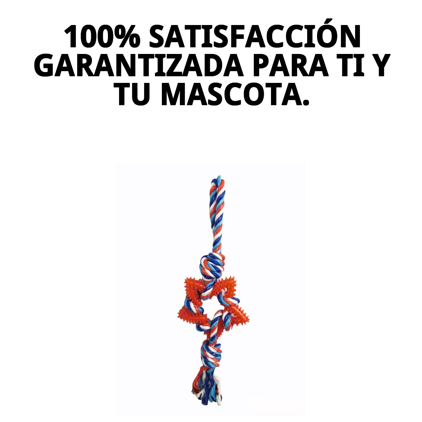 Juguete Lanzador Estrella Dental TPR 45 cm Moly | Juguete Resistente y Limpia Dientes para Perros