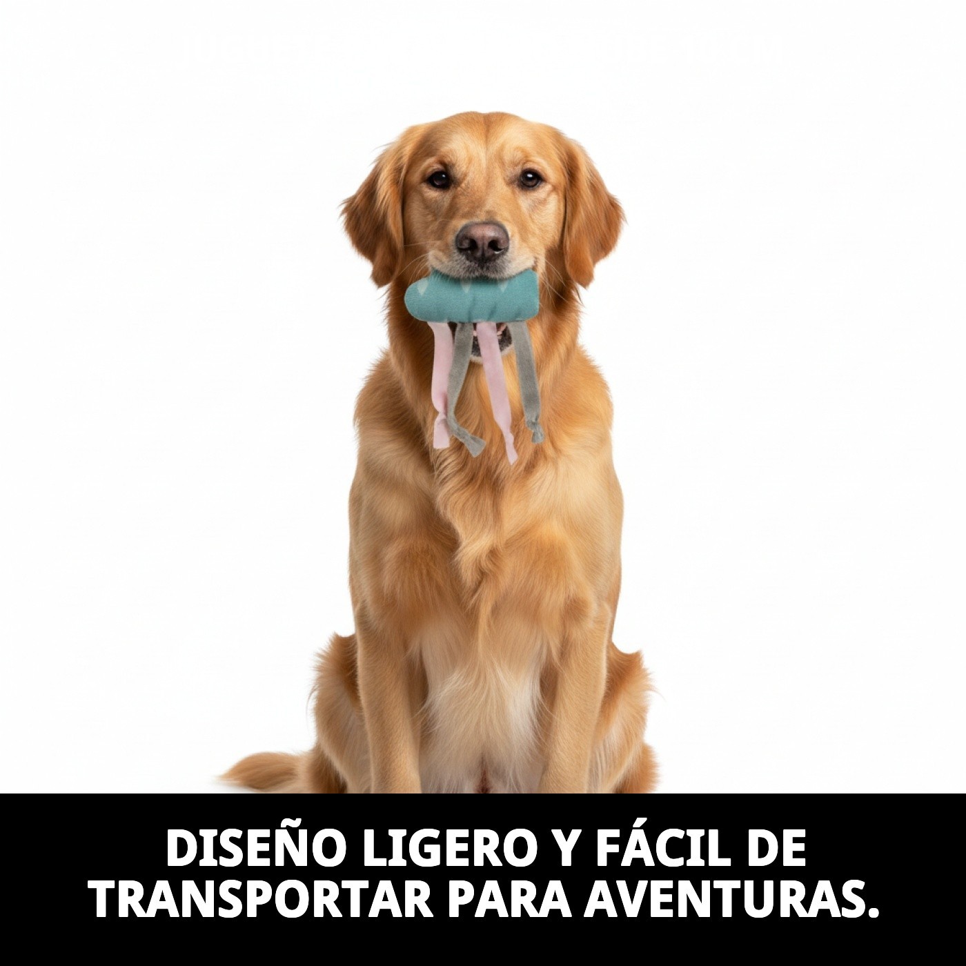 Juguete Nube para Perros Raza Pequeña 10 cm Moly | Mordedor Suave y Resistente para Perros Pequeños