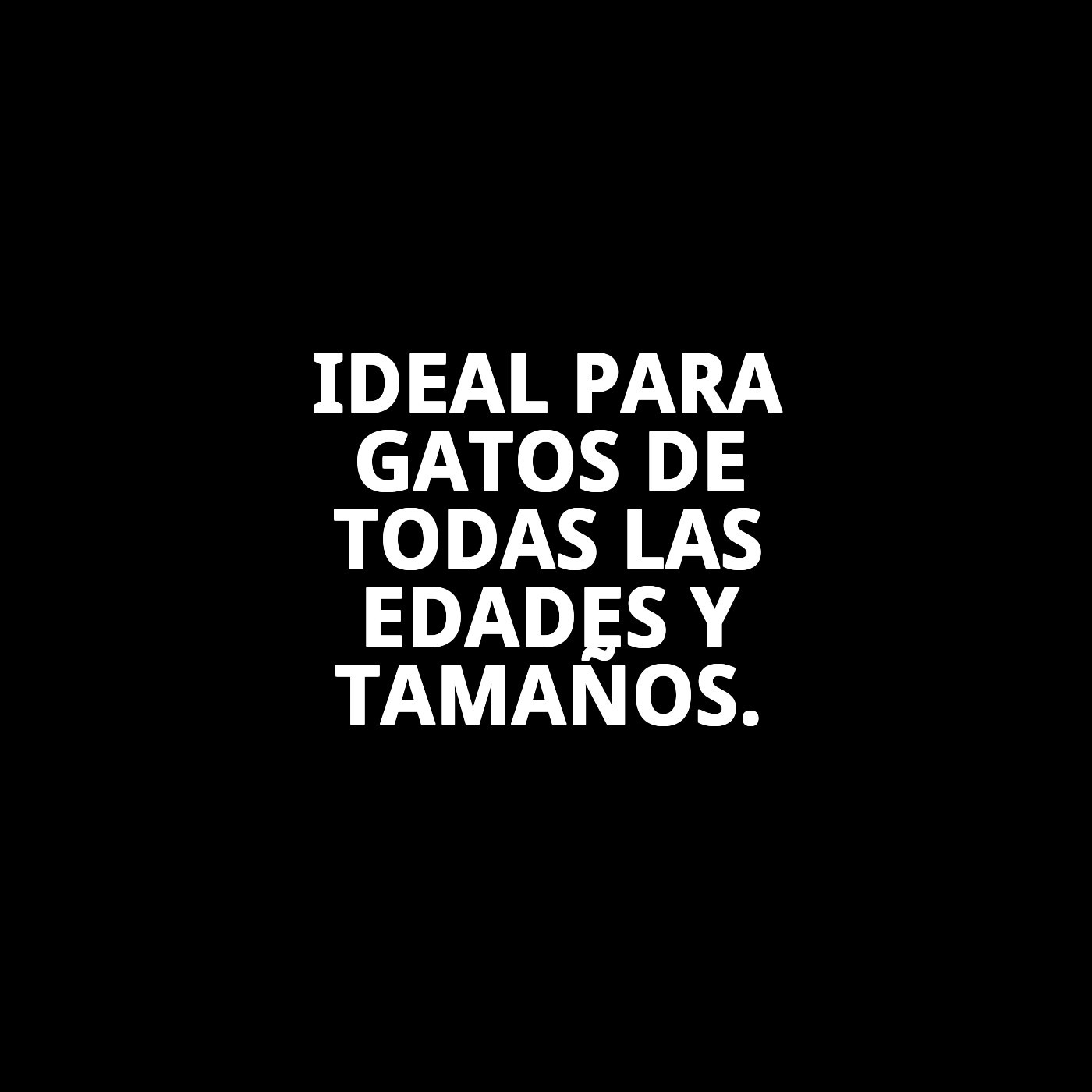 JUGUETE RATON C/MUELLE Y FAMILIA