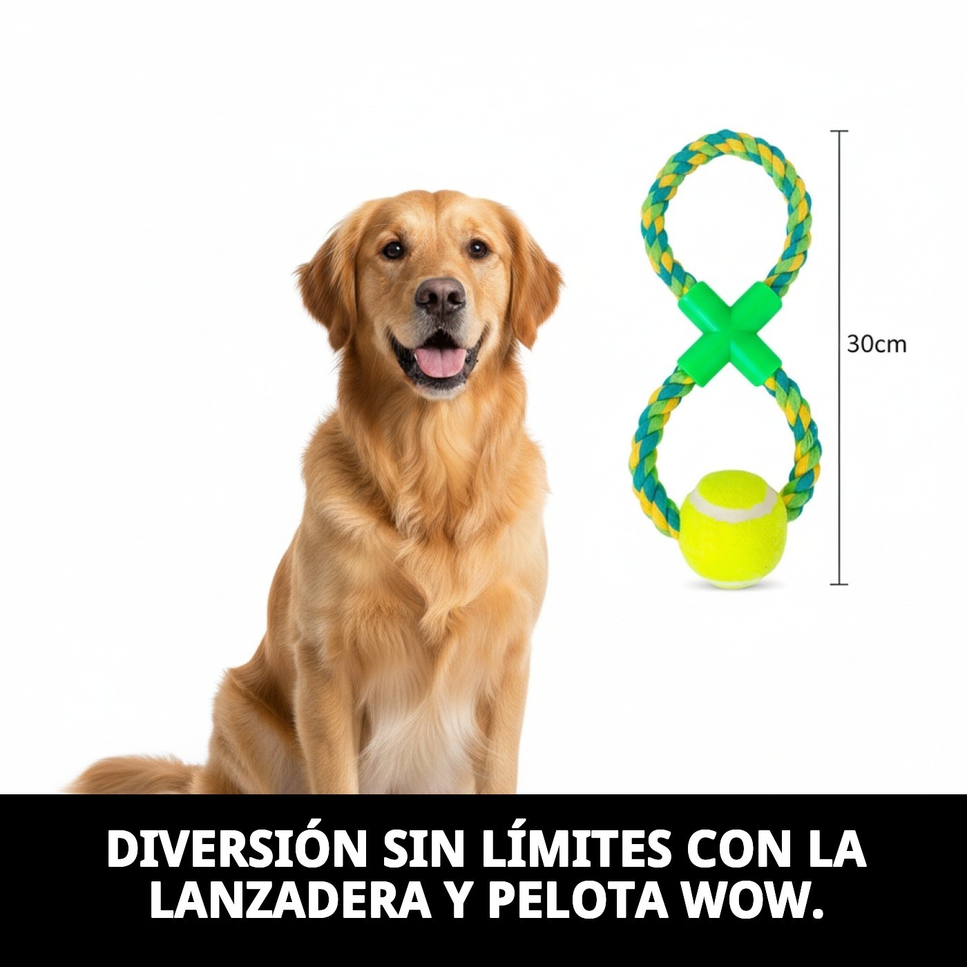 Lanzadera con Pelota de Tenis WOW Moly | Juguete para Lanzar Más Lejos y Divertir a tu Perro