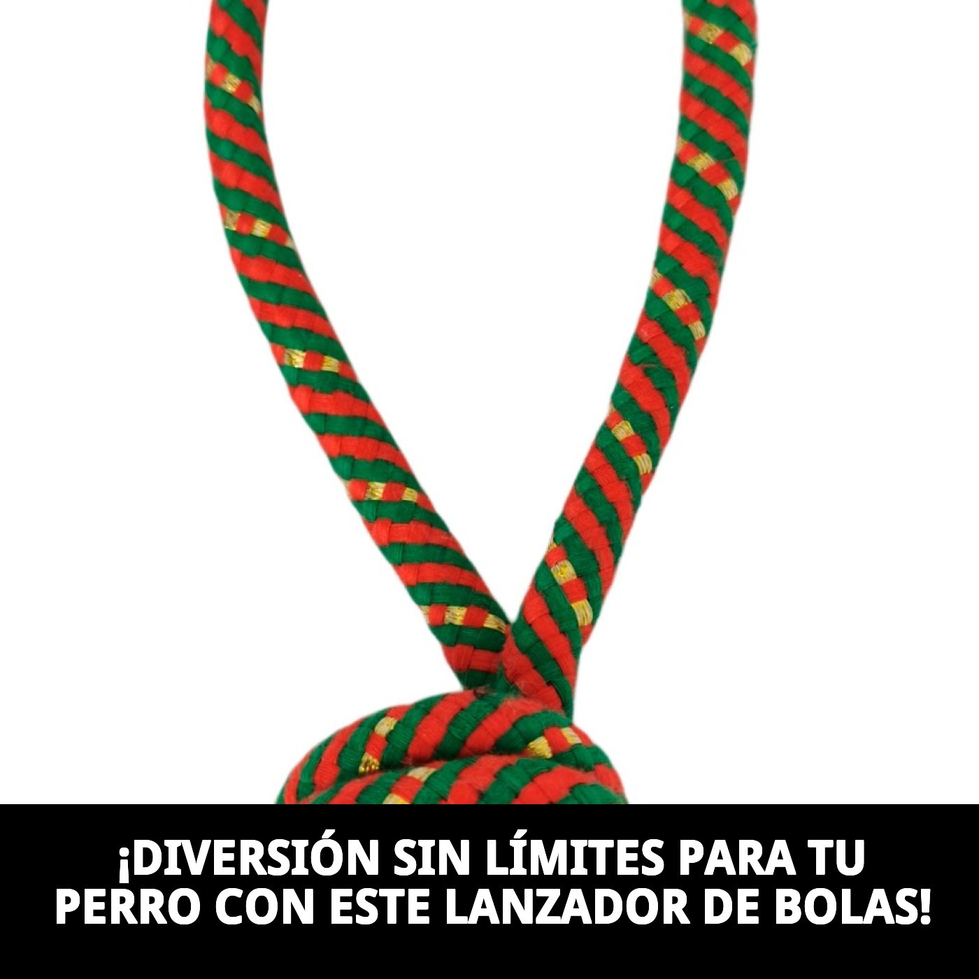 Lanzador Bola Chia 22 cm Moly | Juguete para Perros Activos con Pelota Resistente