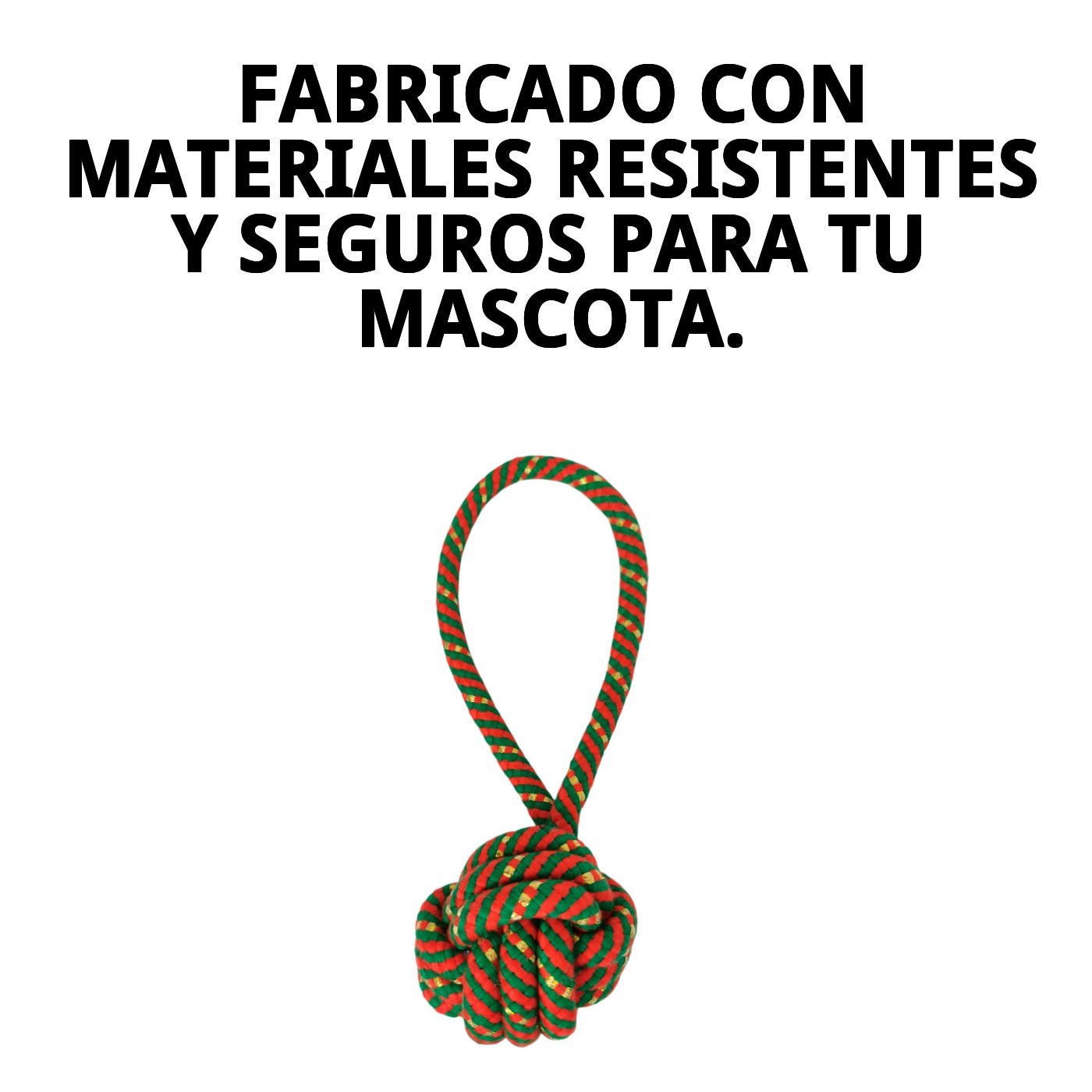 Lanzador Bola Chia 22 cm Moly | Juguete para Perros Activos con Pelota Resistente