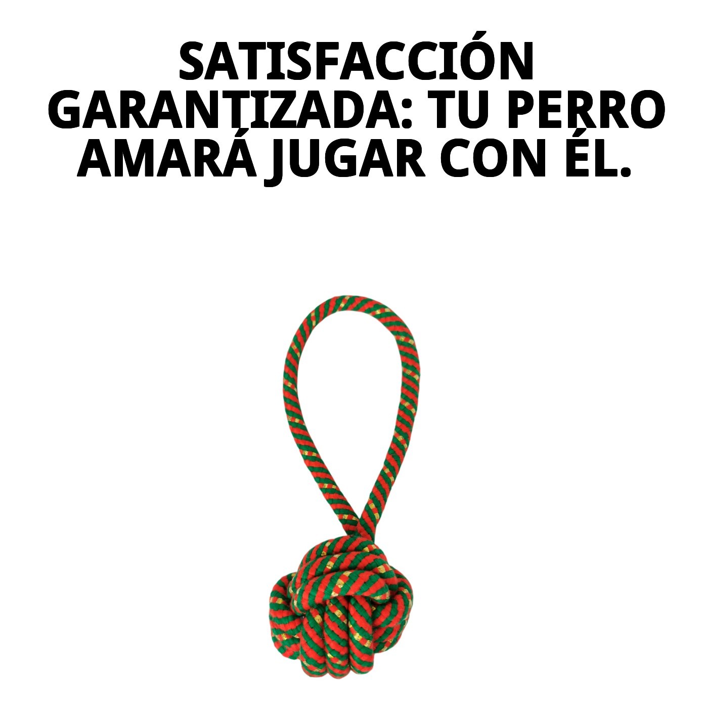 Lanzador Bola Chia 22 cm Moly | Juguete para Perros Activos con Pelota Resistente