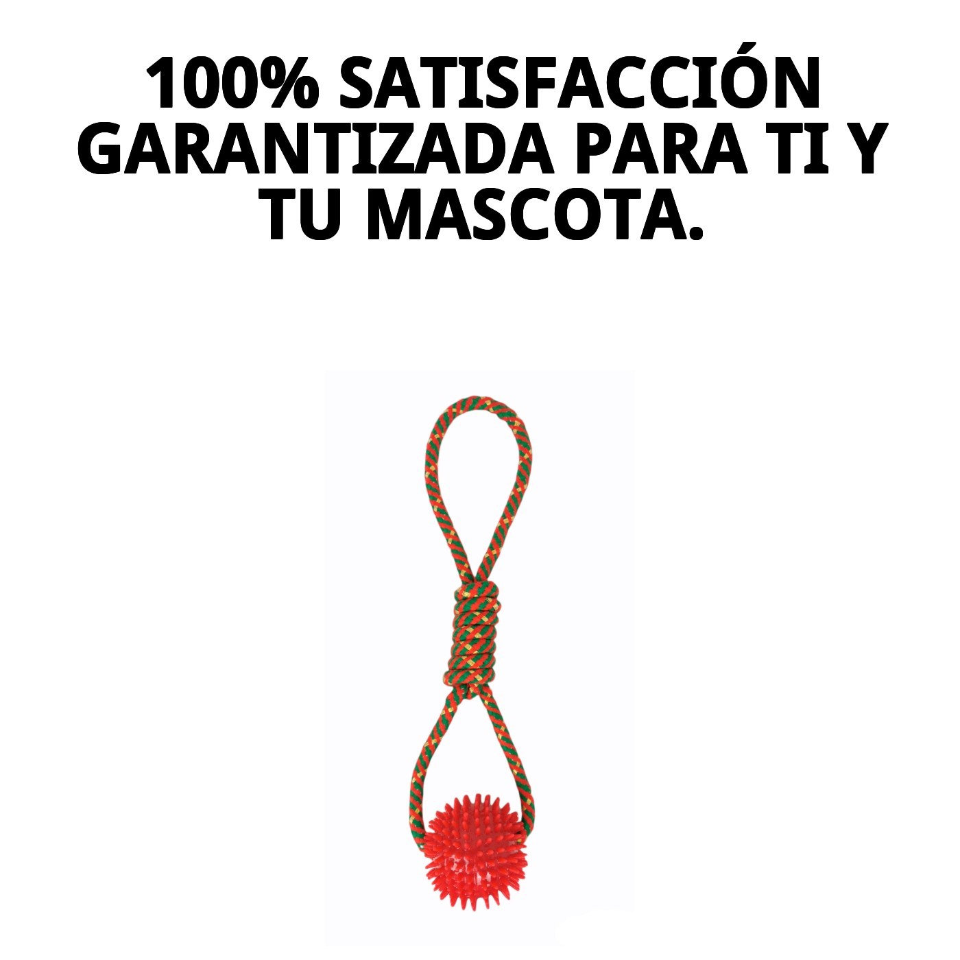 Lanzador con Pelota TPR Chia 43 cm Moly | Juguete Resistente para Lanzar, Morder y Jugar al Aire Libre