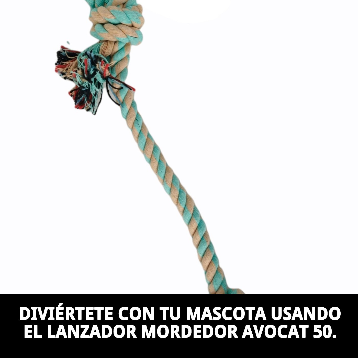 Lanzador Mordedor Avocat 50 cm Moly | Juguete Resistente para Lanzar, Morder y Jugar al Aire Libre