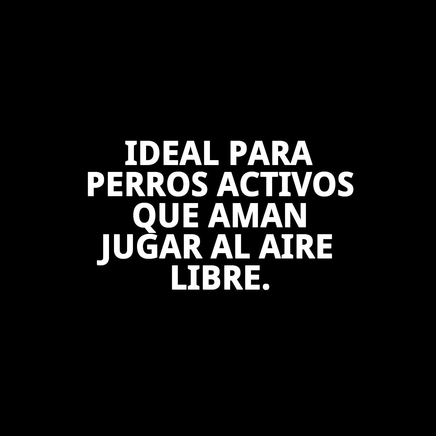 Lanzador Pelota Trendy Moly | Juguete Resistente para Lanzar Más Lejos y Divertir a tu Perro