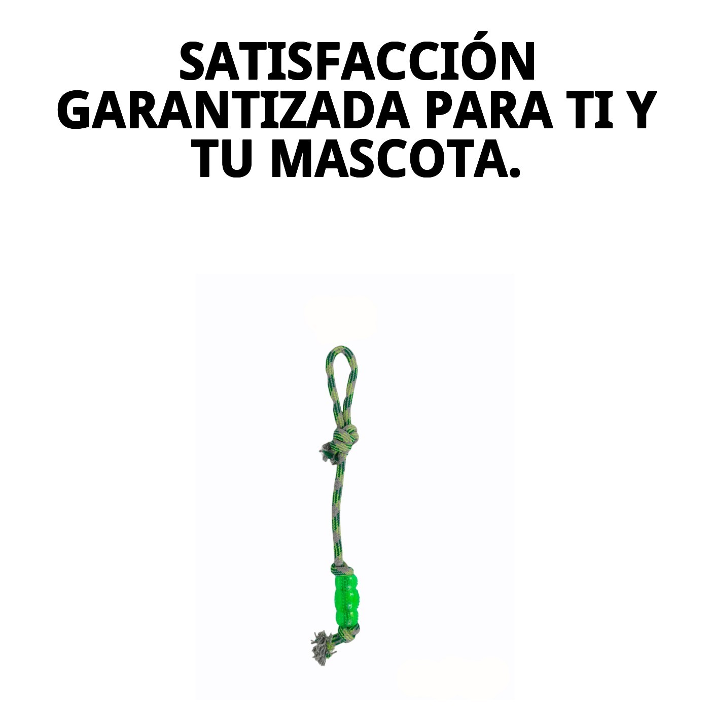Lanzador TPR/Algodón 50 cm Green Moly | Juguete Resistente para Lanzar, Tirar y Morde