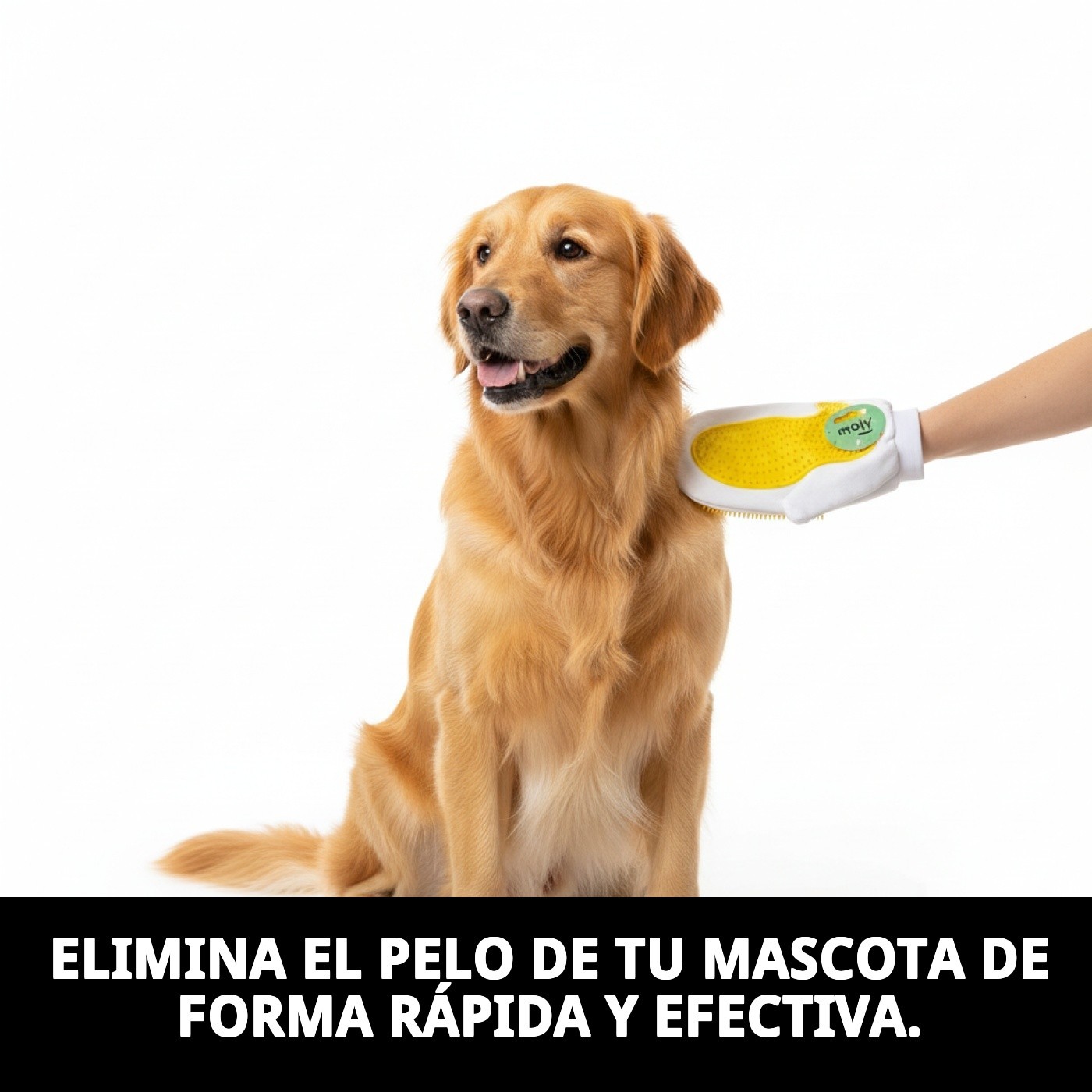 Manopla Quitapelo Moly | Guante Removedor de Pelos para Perros, Gatos y Hogar