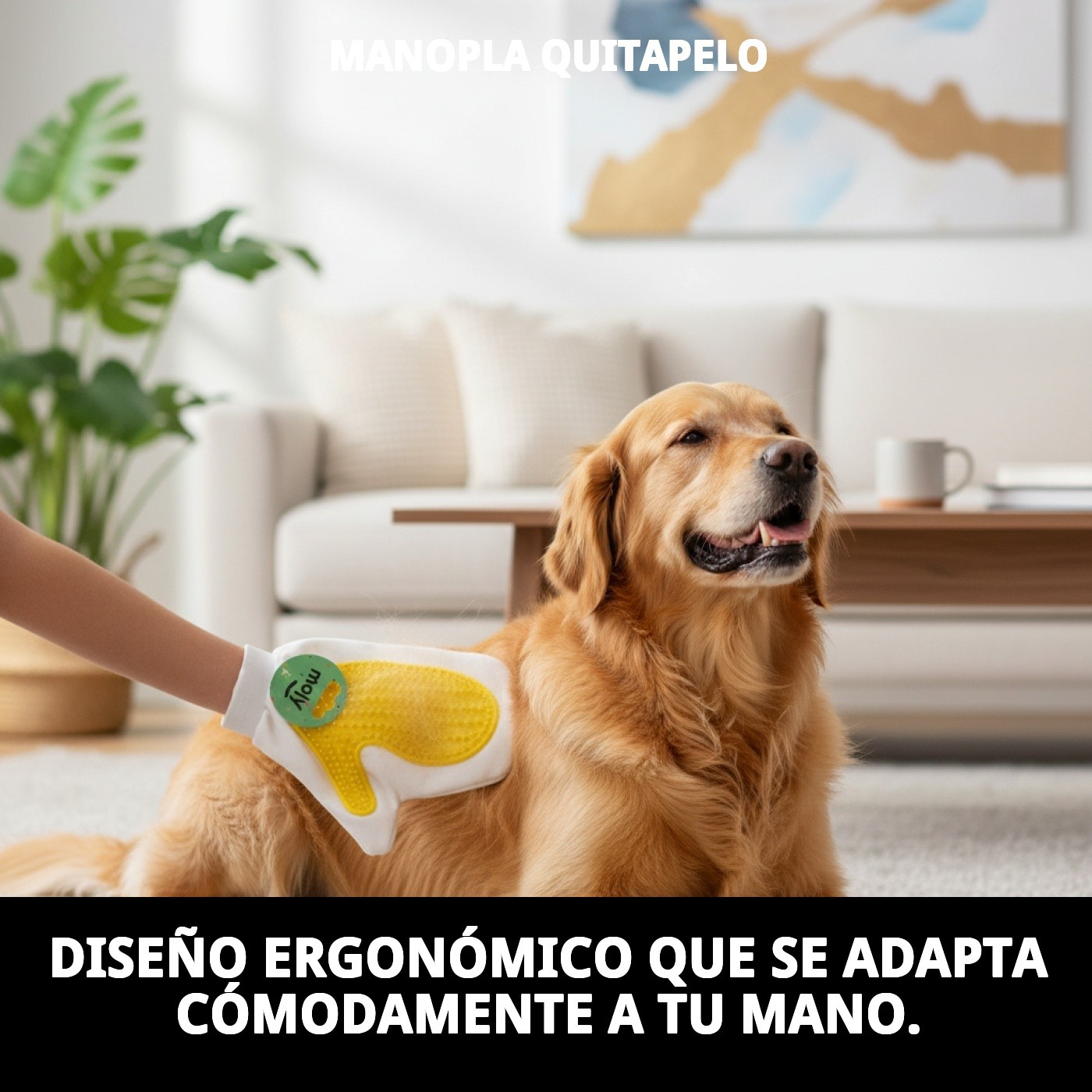 Manopla Quitapelo Moly | Guante Removedor de Pelos para Perros, Gatos y Hogar