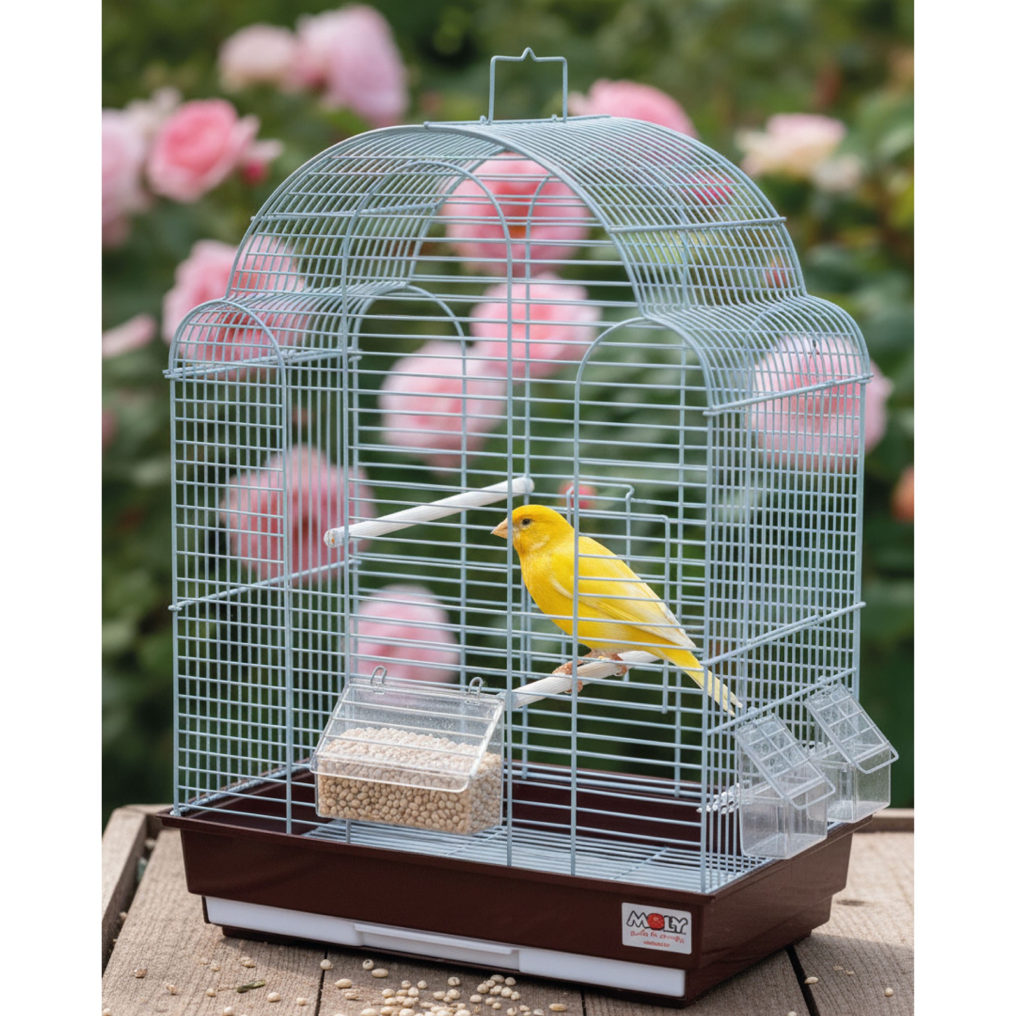 Mijo Blanco Deli Nature 20 kg – Grano Natural Premium | Ideal para Aves, Loros, Canarios, Periquitos, Palomas y Aves Silvestres