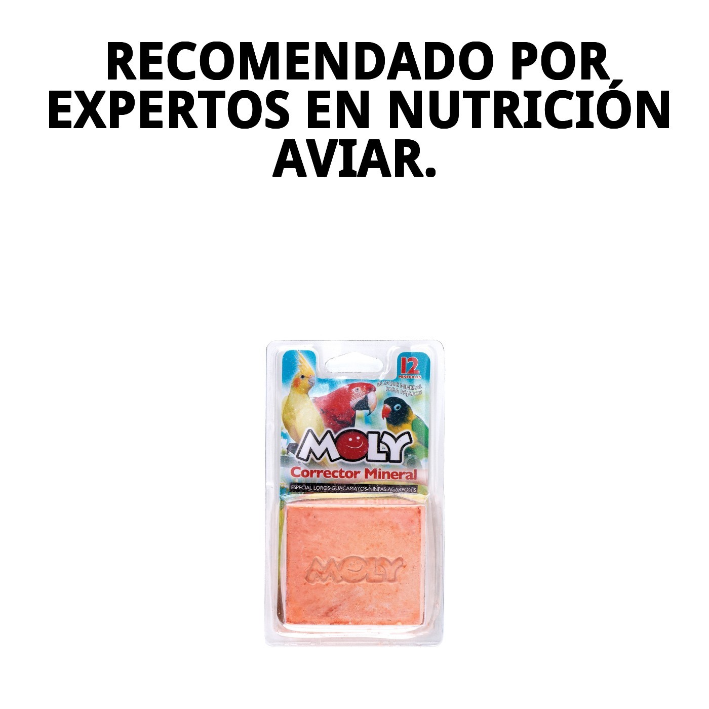 MOLY CALCIO LOROS 150 gr