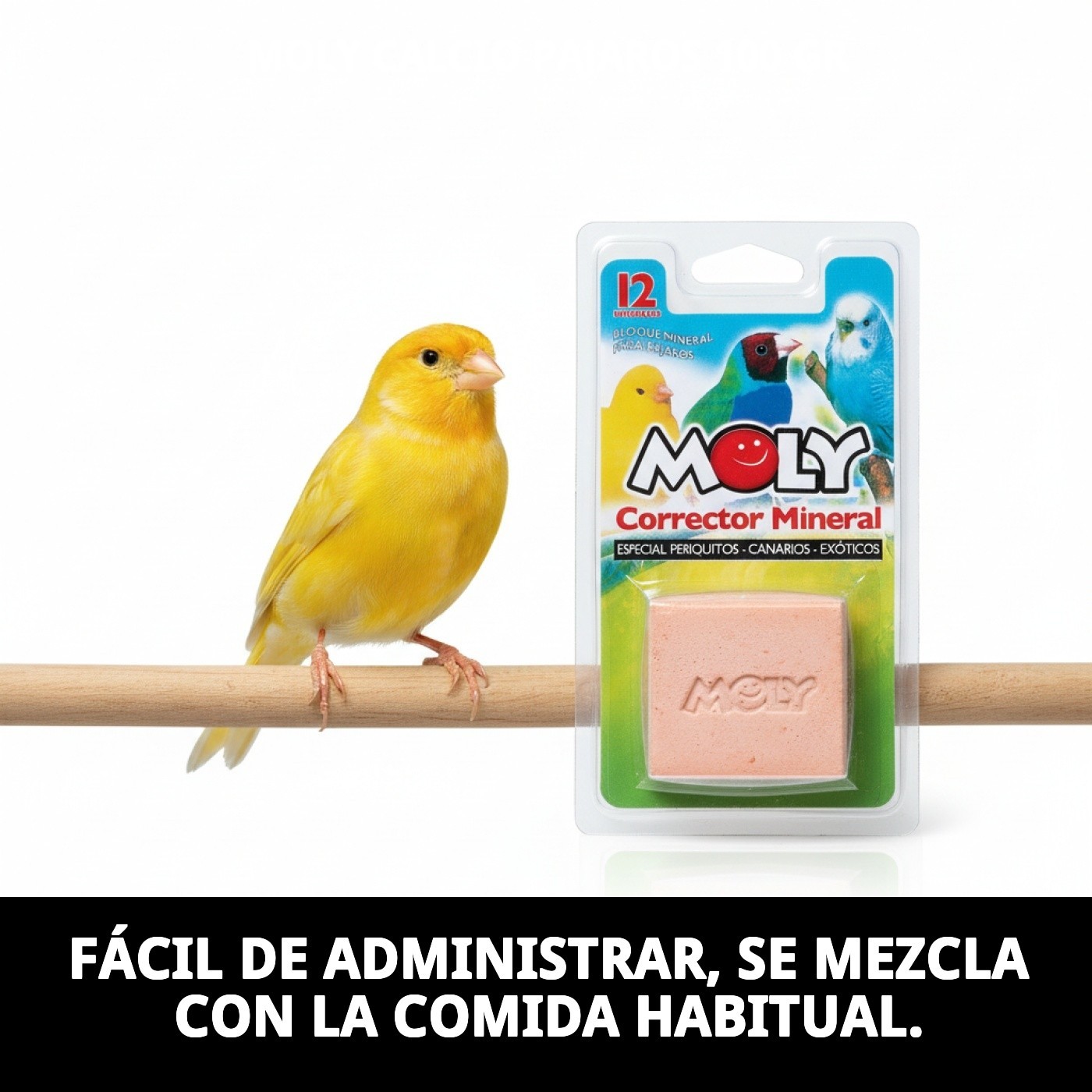 MOLY CALCIO PAJAROS 100 gr