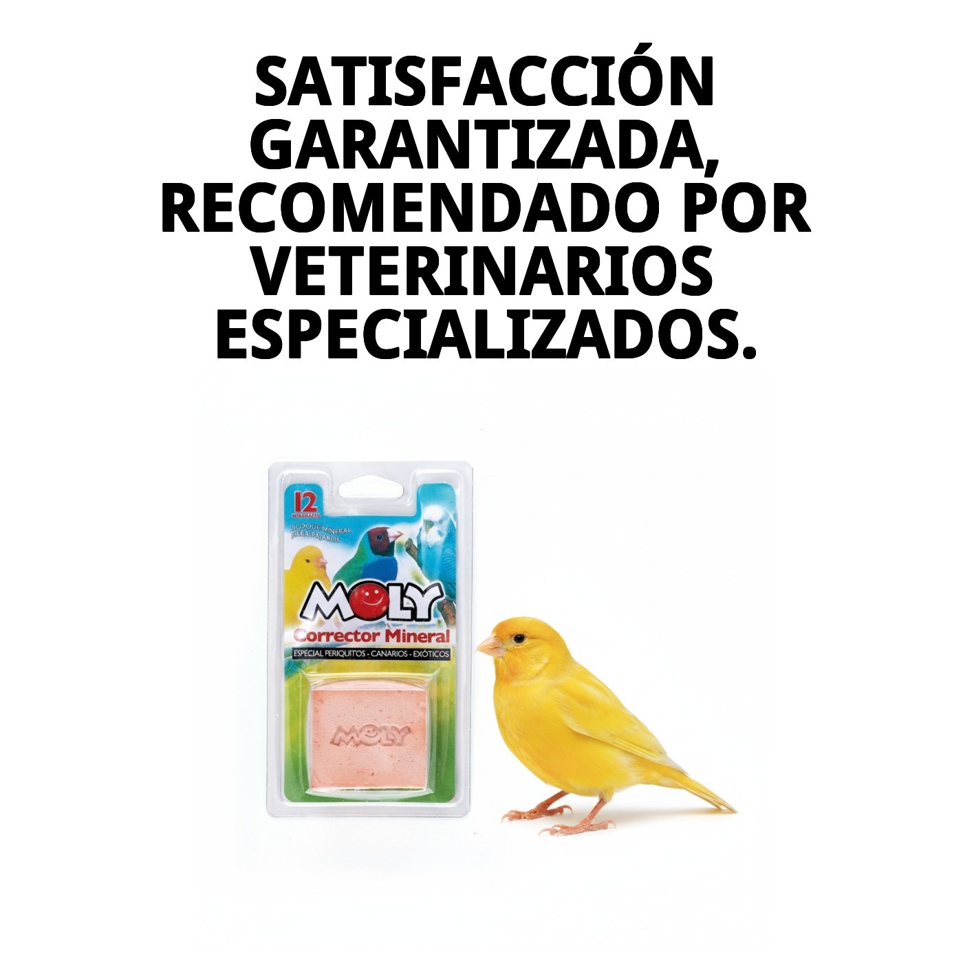 MOLY CALCIO PAJAROS 100 gr
