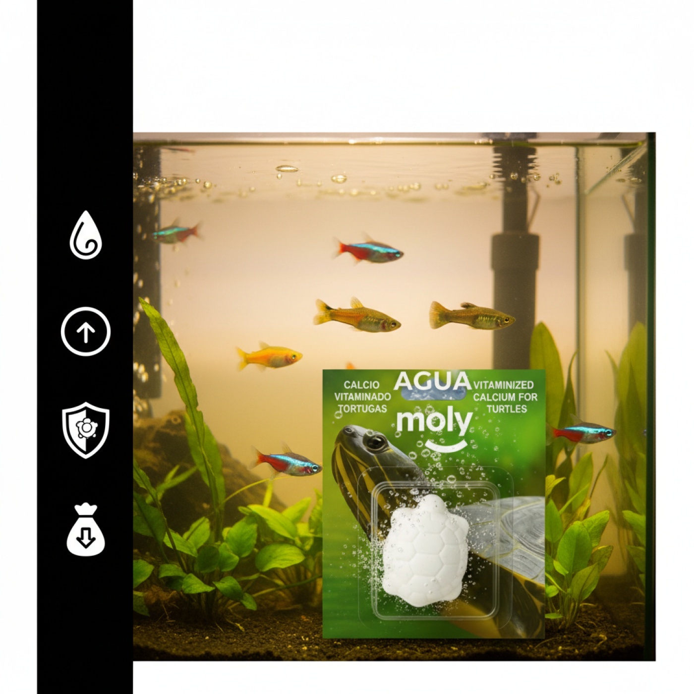 MOLY CALCIO TORTUGAS ACONDICIONADOR AGUA GRANDE