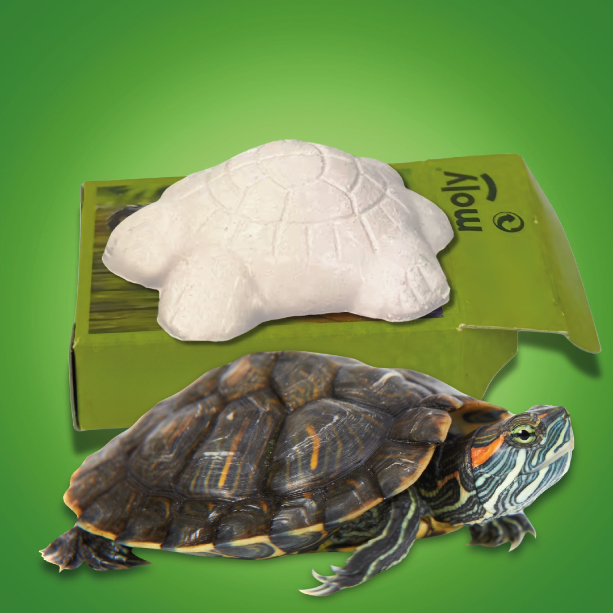 MOLY CALCIO TORTUGAS EXPO X 30 UNID