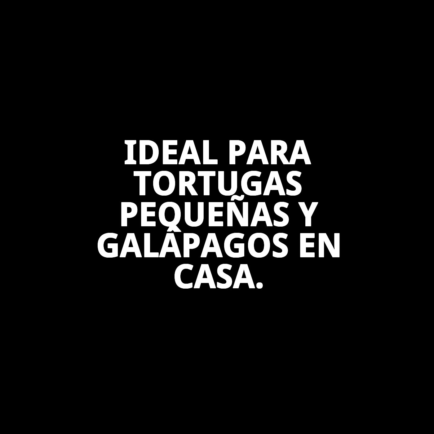 MOLY CALCIO TORTUGAS  PEQUEÑAS