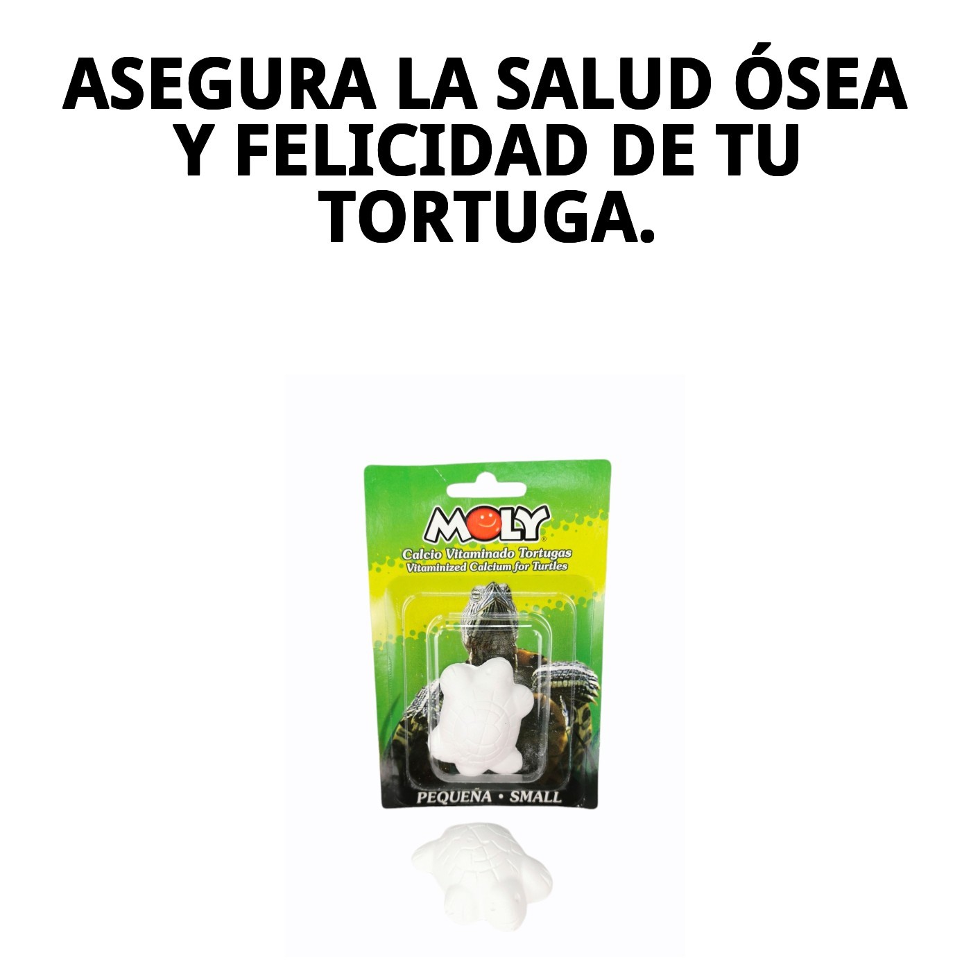 MOLY CALCIO TORTUGAS  PEQUEÑAS