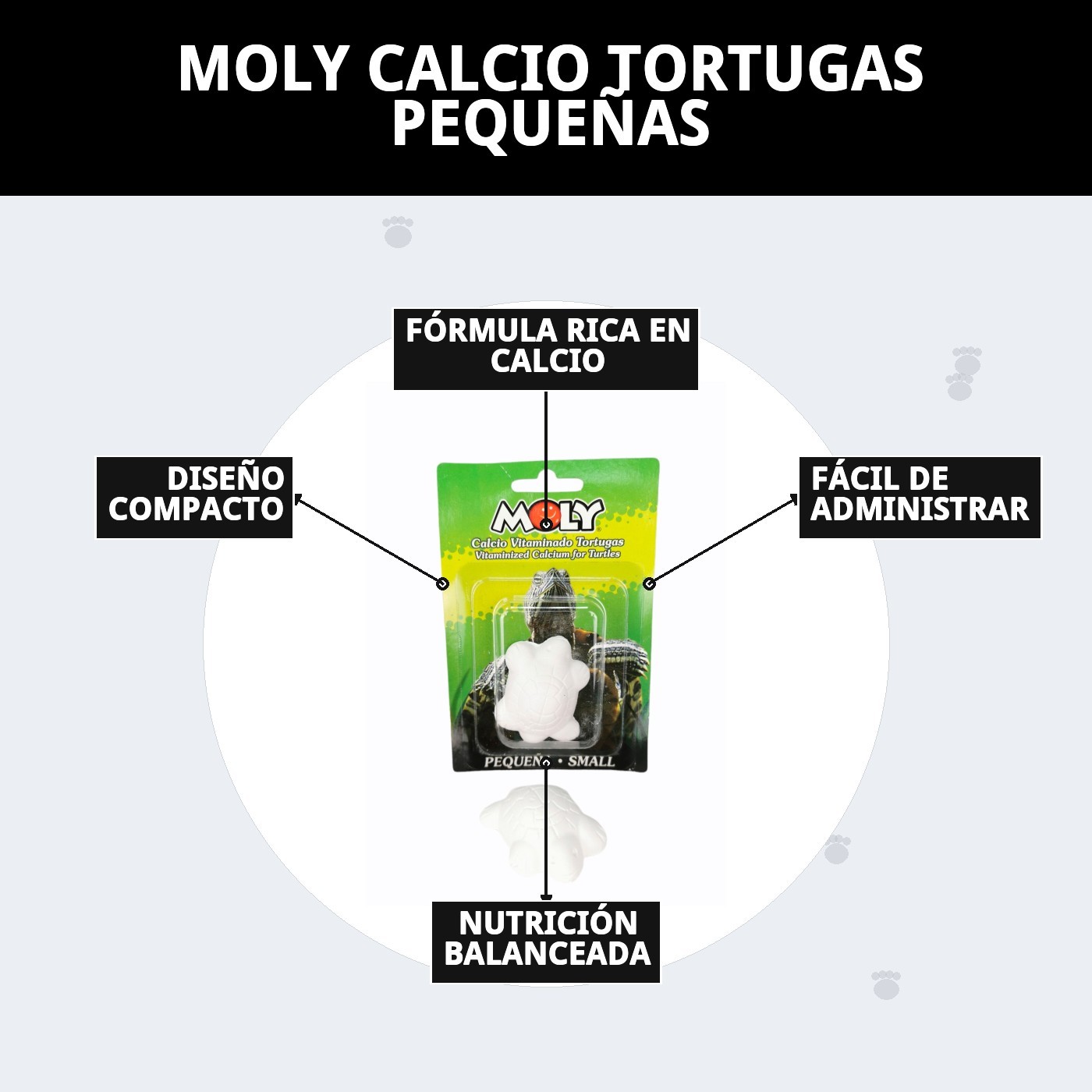 MOLY CALCIO TORTUGAS  PEQUEÑAS
