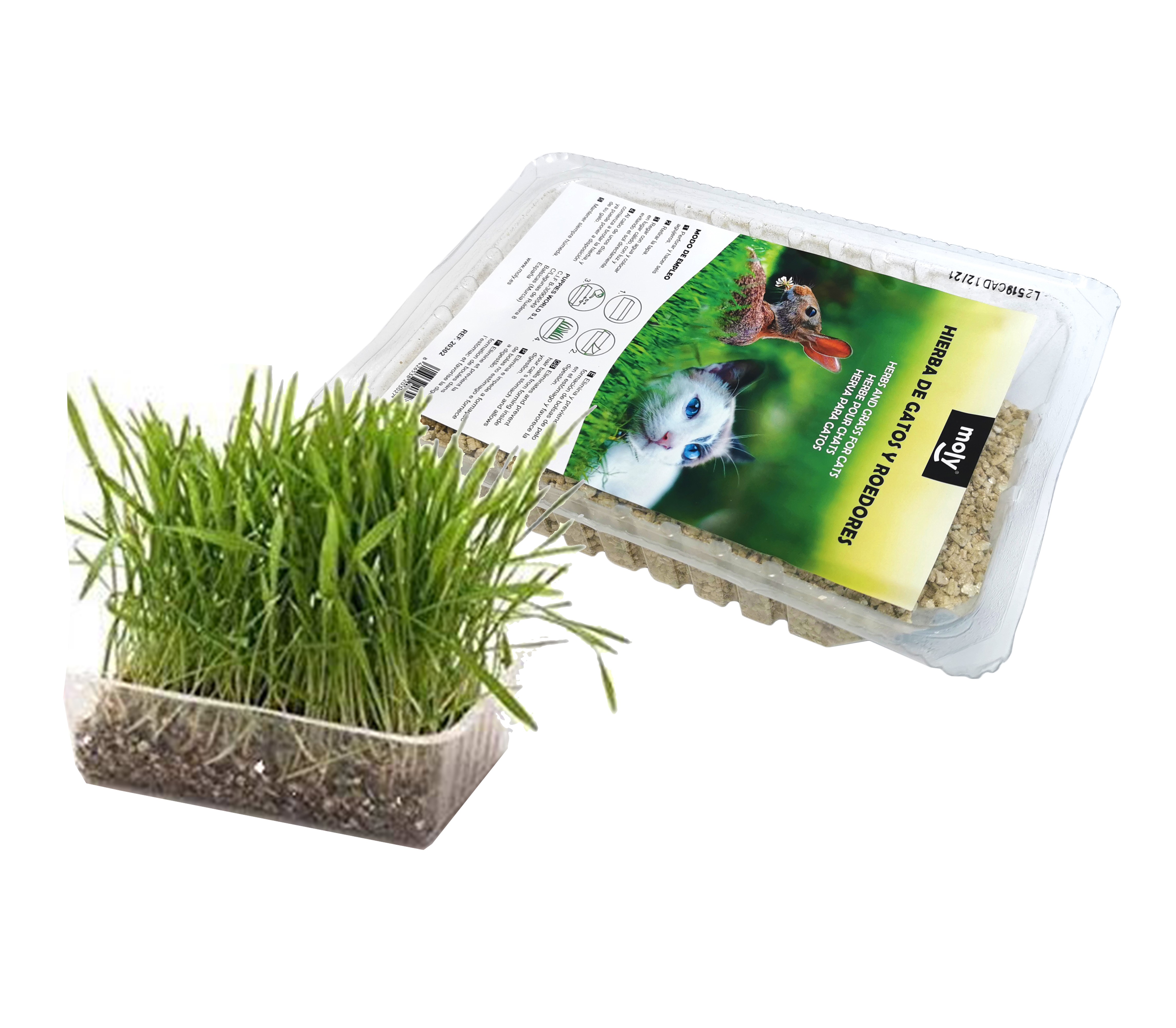 Moly Eco-Friendly Cat Grass with Tray | Natural Digestive Aid and Anti-Stress