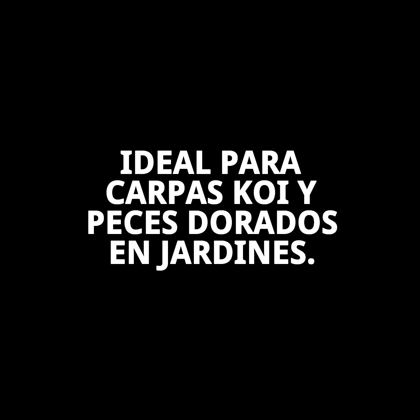 MOLY ESTANQUE STICKS 5 KG *PROFESIONAL*