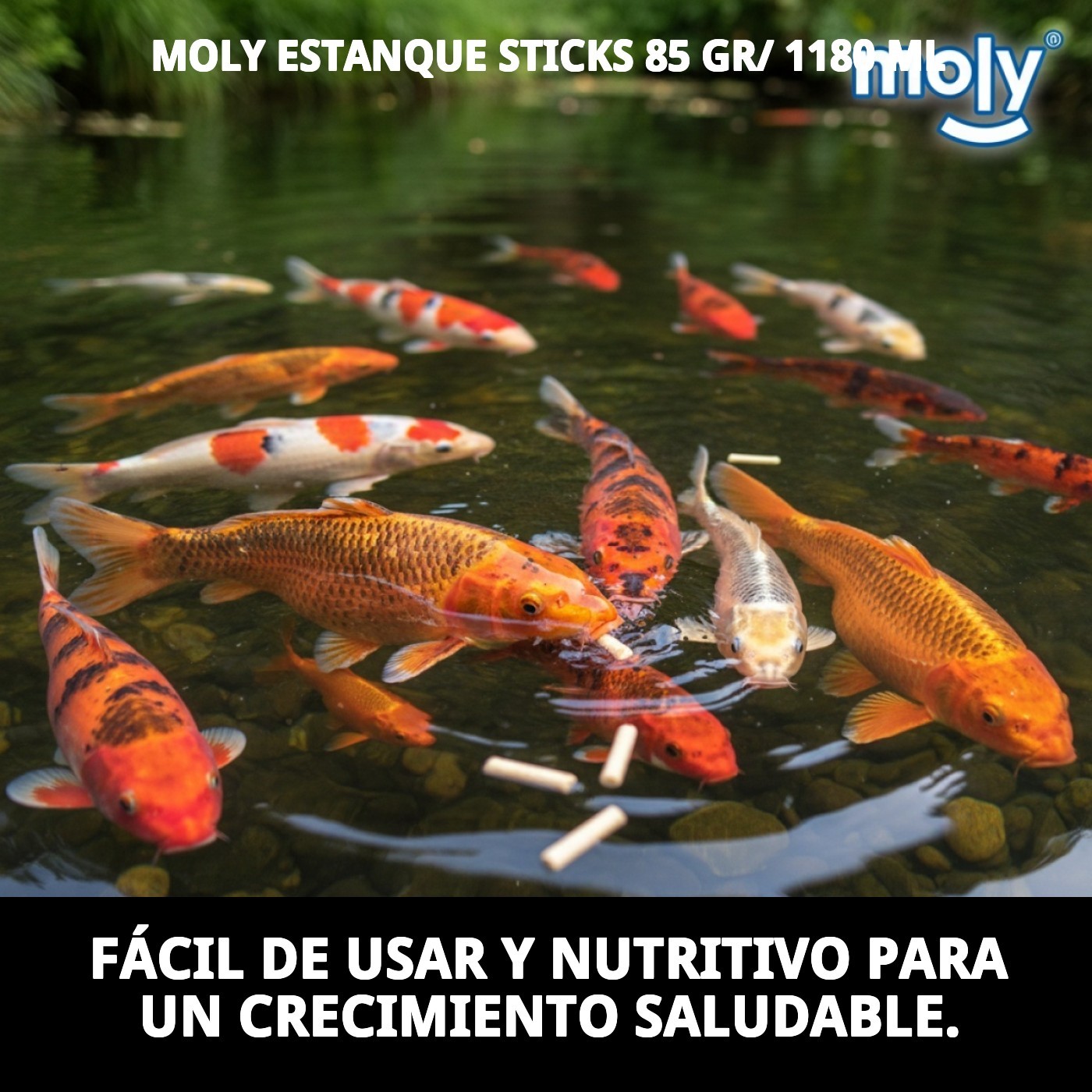 MOLY ESTANQUE STICKS 85 gr/ 1180 ML