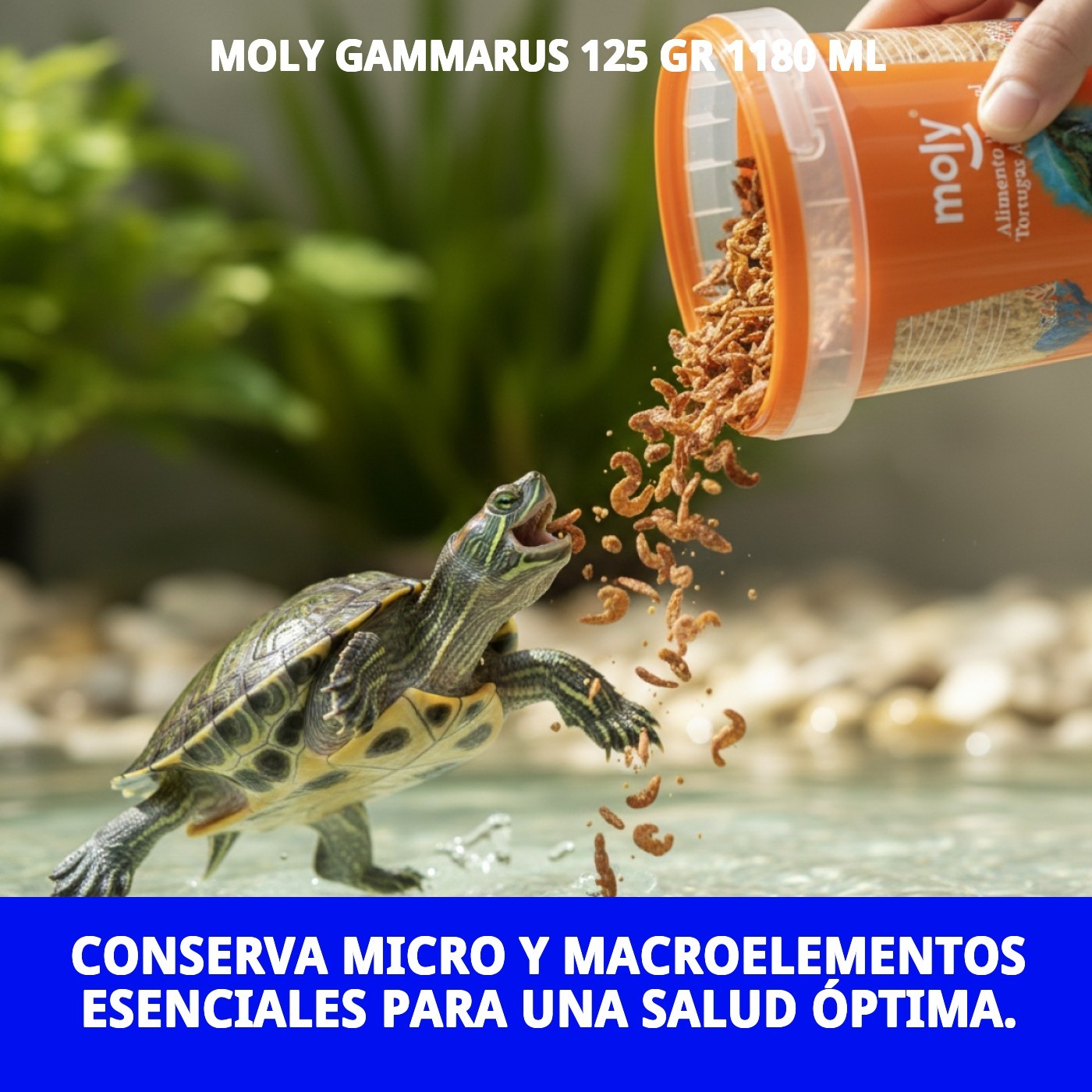 MOLY GAMMARUS 125 gr 1180 ML