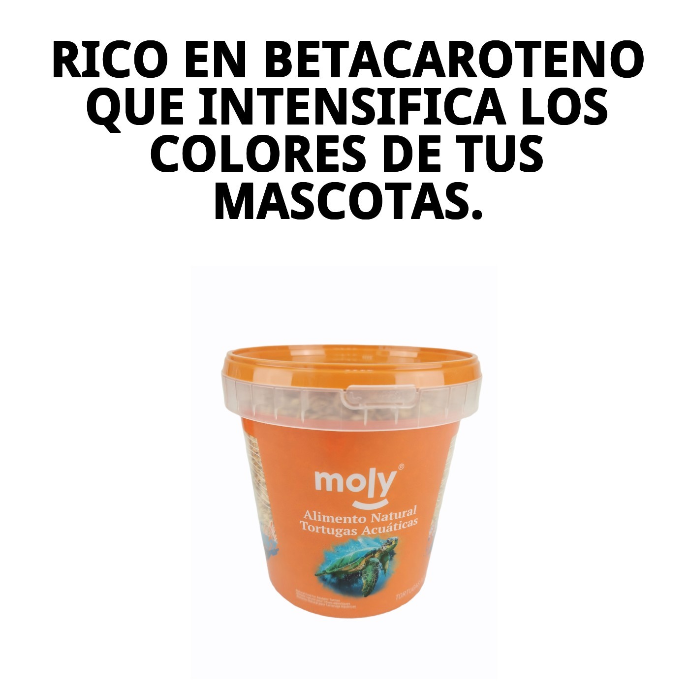 MOLY GAMMARUS 125 gr 1180 ML