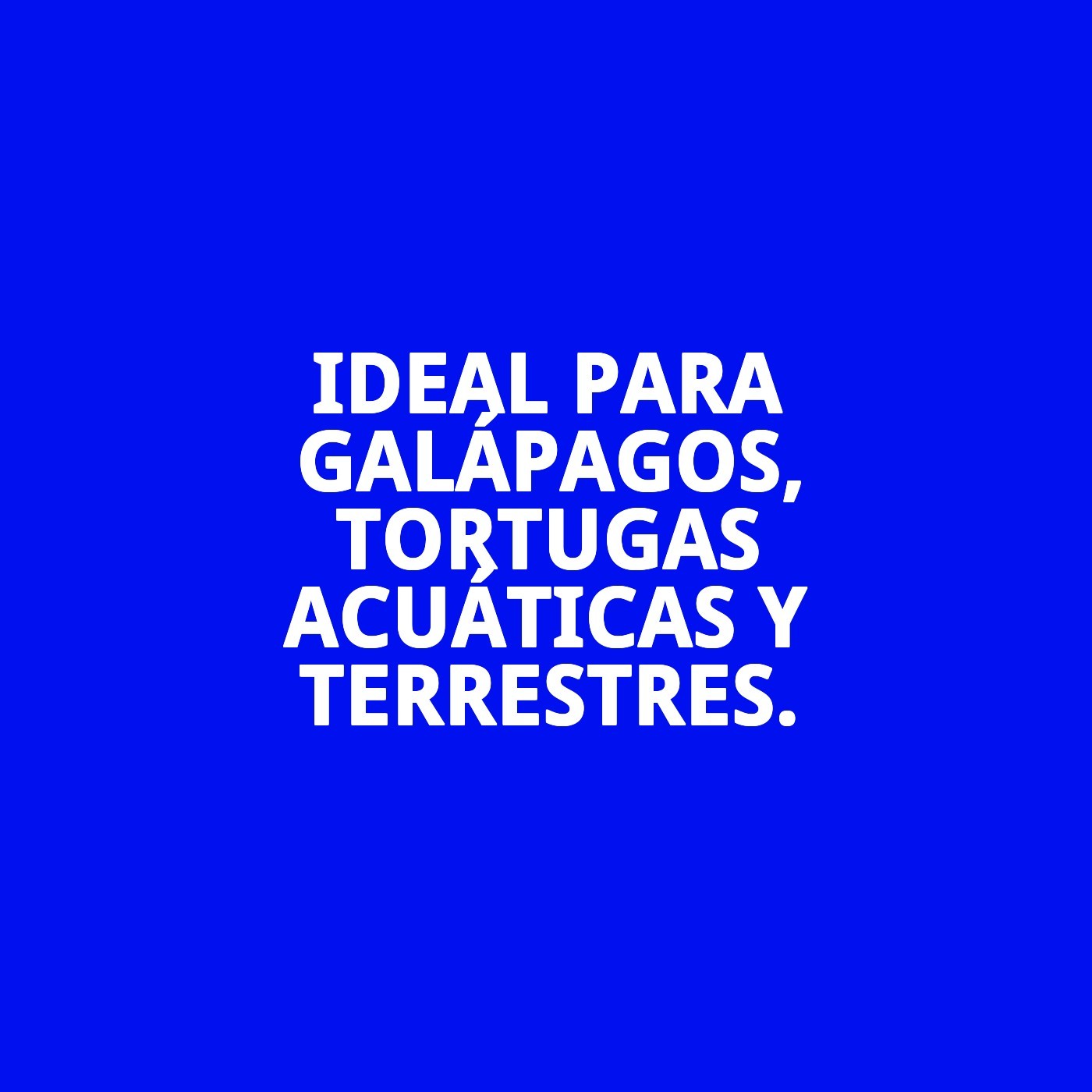 MOLY GAMMARUS 125 gr 1180 ML