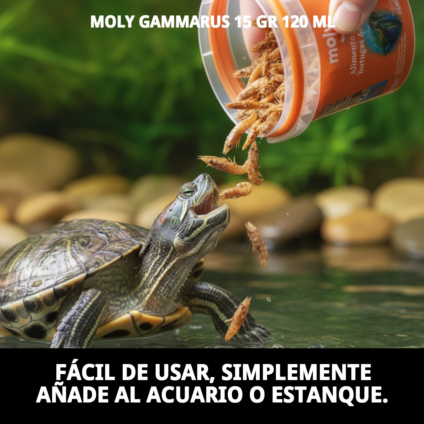 MOLY GAMMARUS 15 gr 120 ML