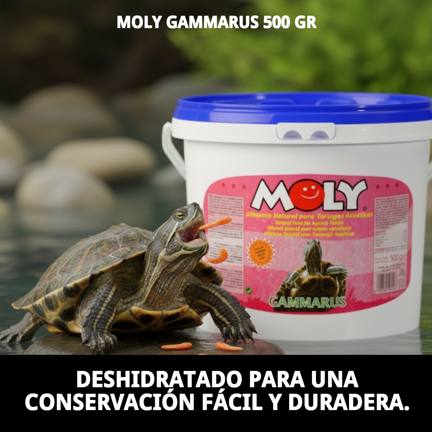 MOLY GAMMARUS 500 gr