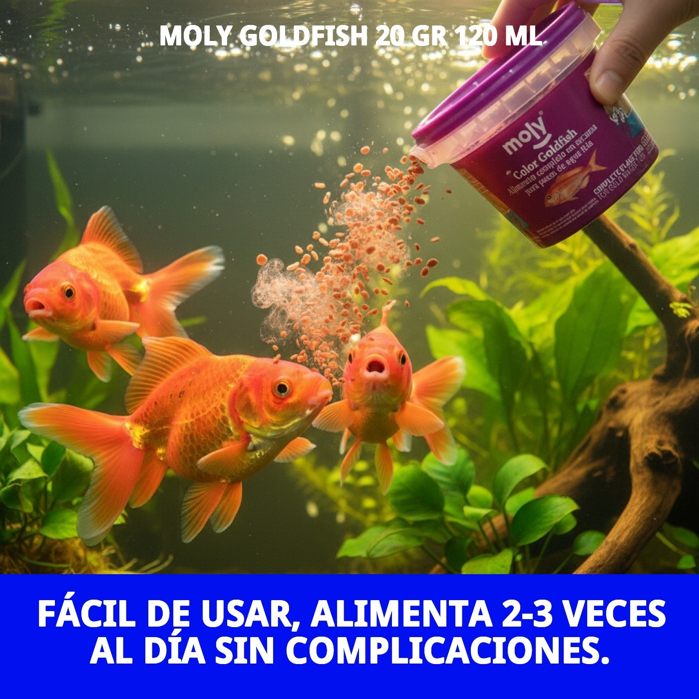 MOLY GOLDFISH 20 gr 120 ML