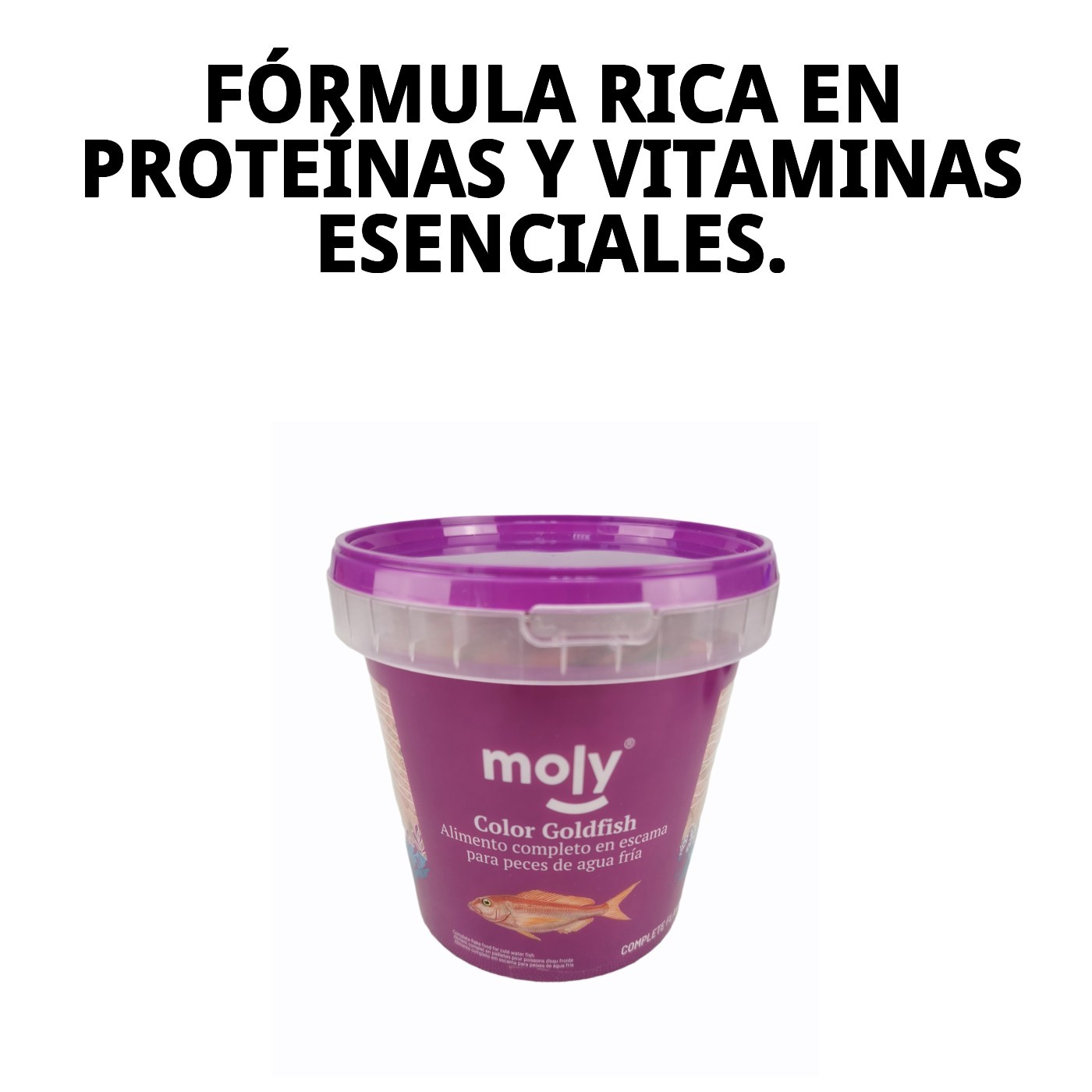 MOLY GOLDFISH COLOR 200 gr 1180 ML