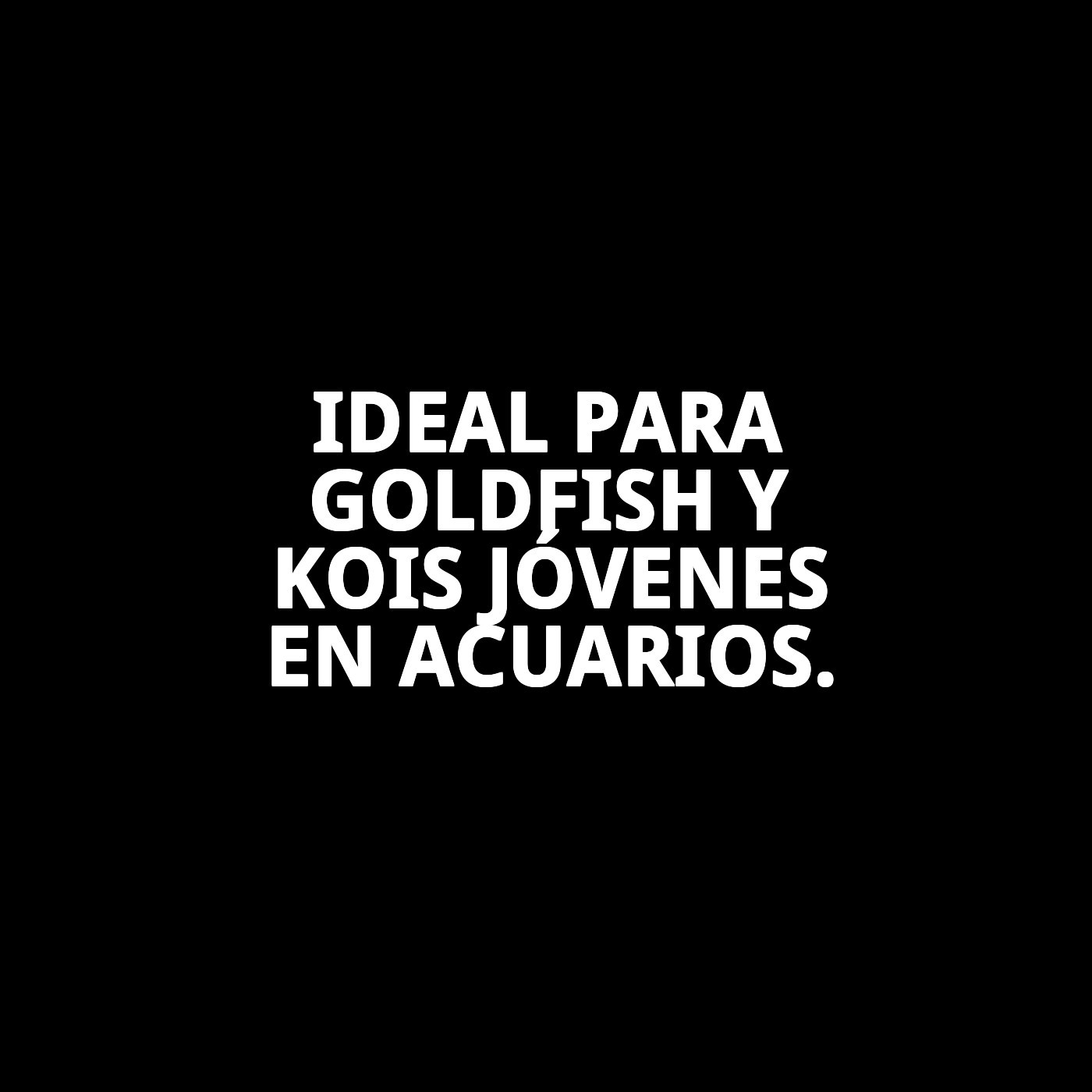 MOLY GOLDFISH COLOR 200 gr 1180 ML