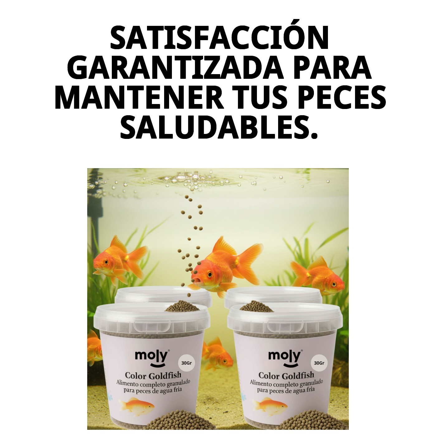 MOLY GOLDFISH COLOR GRANULADO 30 GRMS /120ML