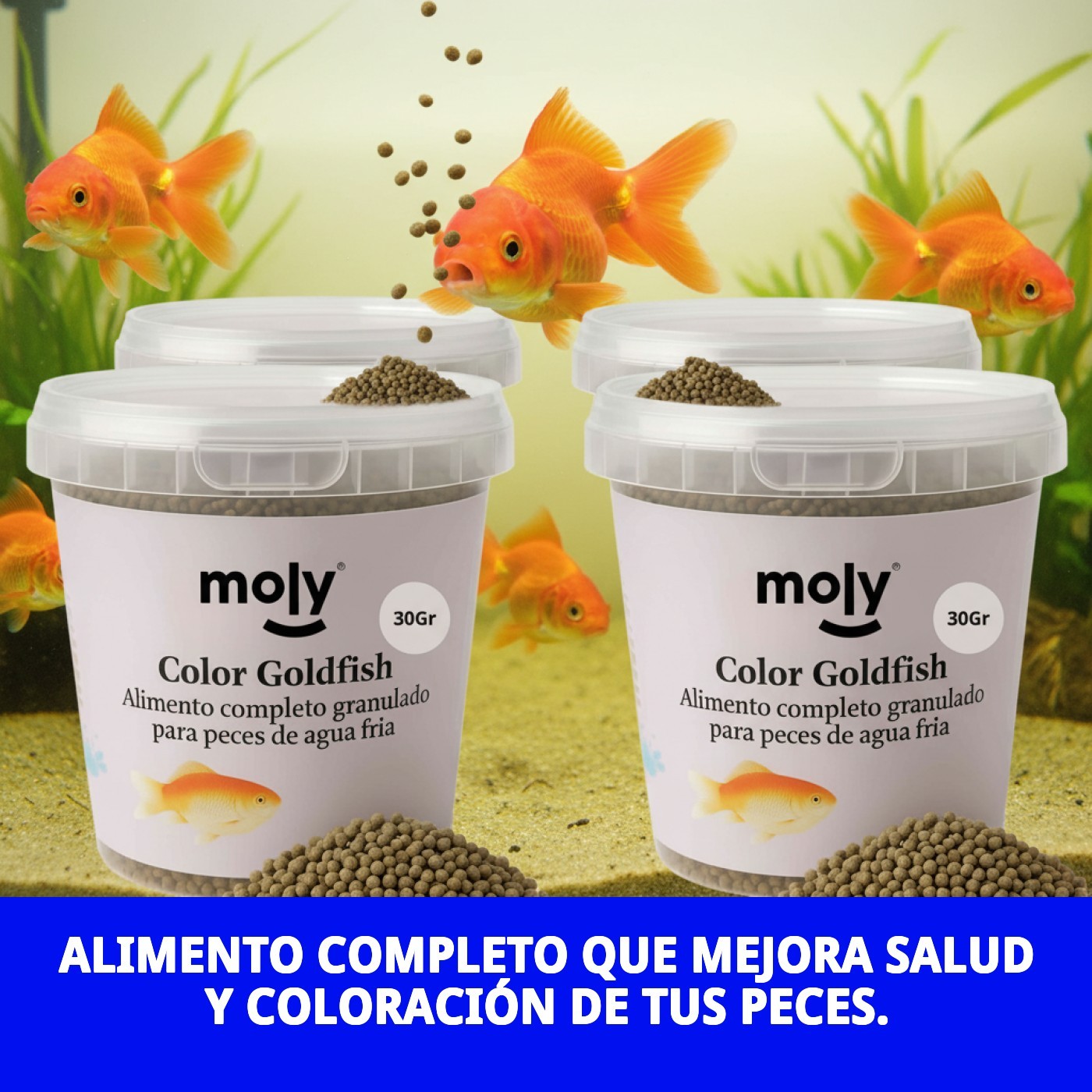 MOLY GOLDFISH COLOR GRANULADO 30 GRMS /120ML