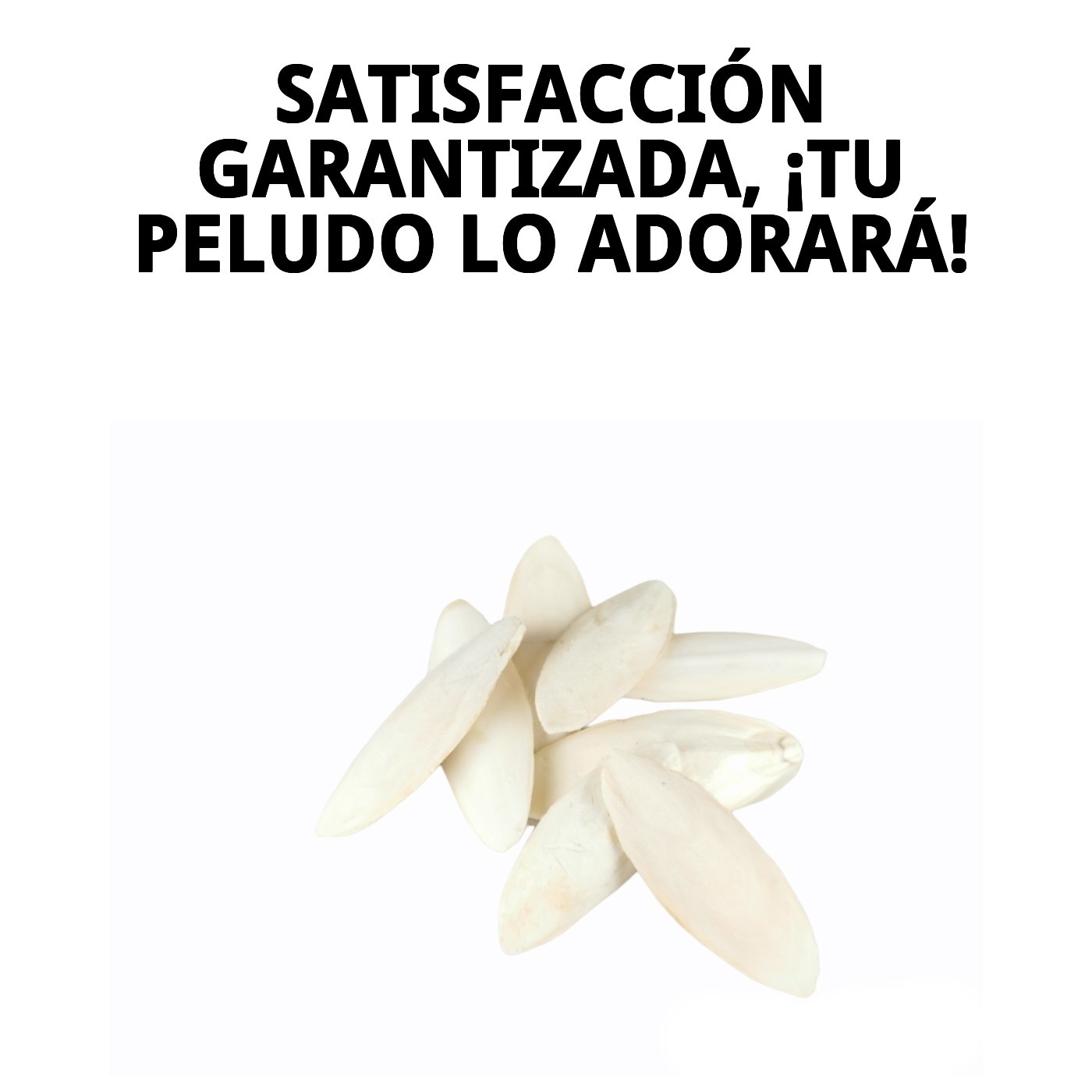 MOLY HUESO DE JIBIA bolsa 50 pzas 15 CM