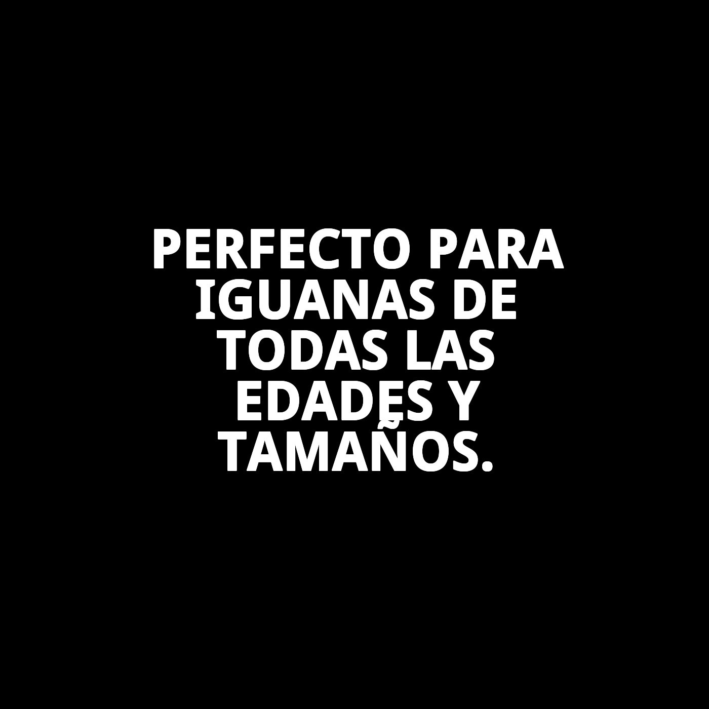 MOLY IGUANAS 100gr/250 ML