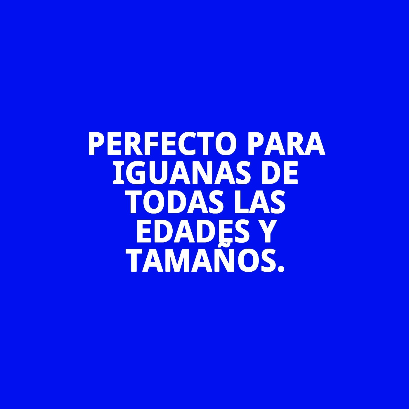 MOLY IGUANAS 100gr/250 ML